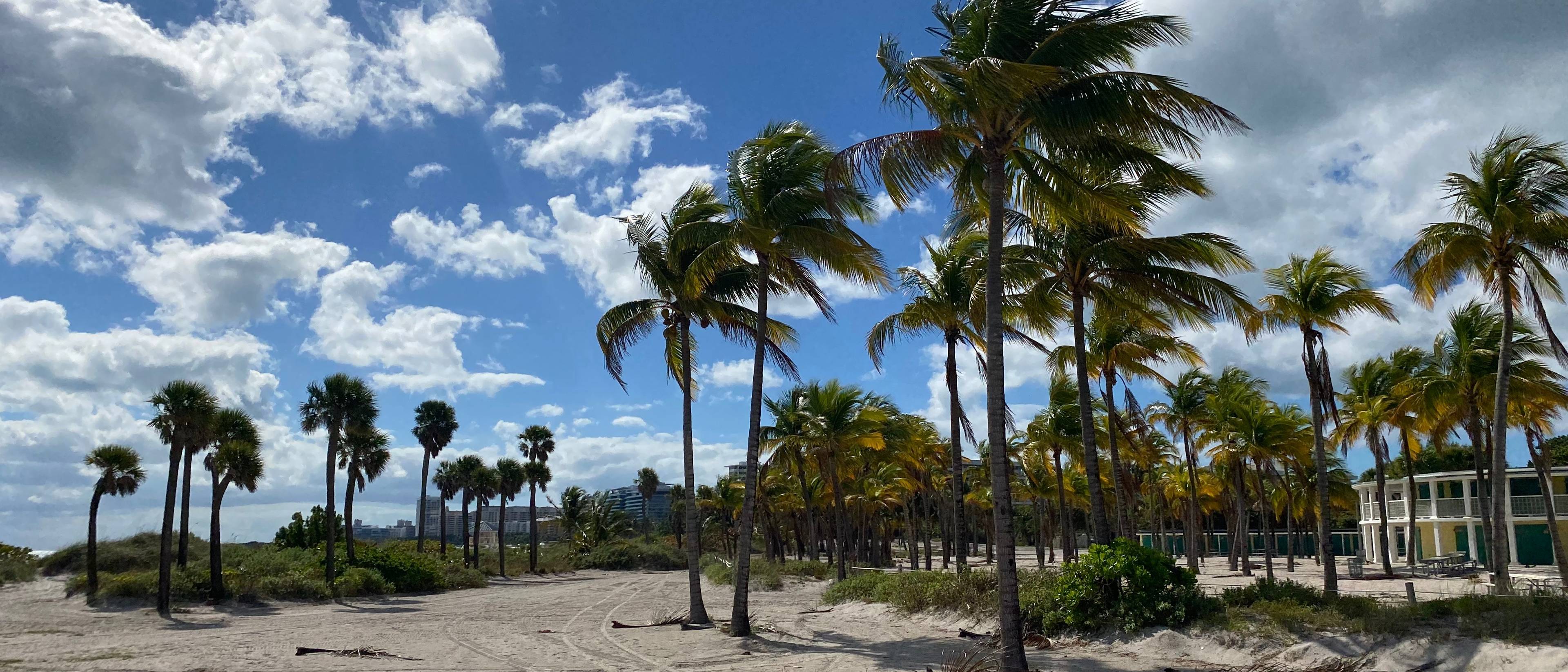 Bonjour Miami ! Vivez une première journée paradisiaque.
