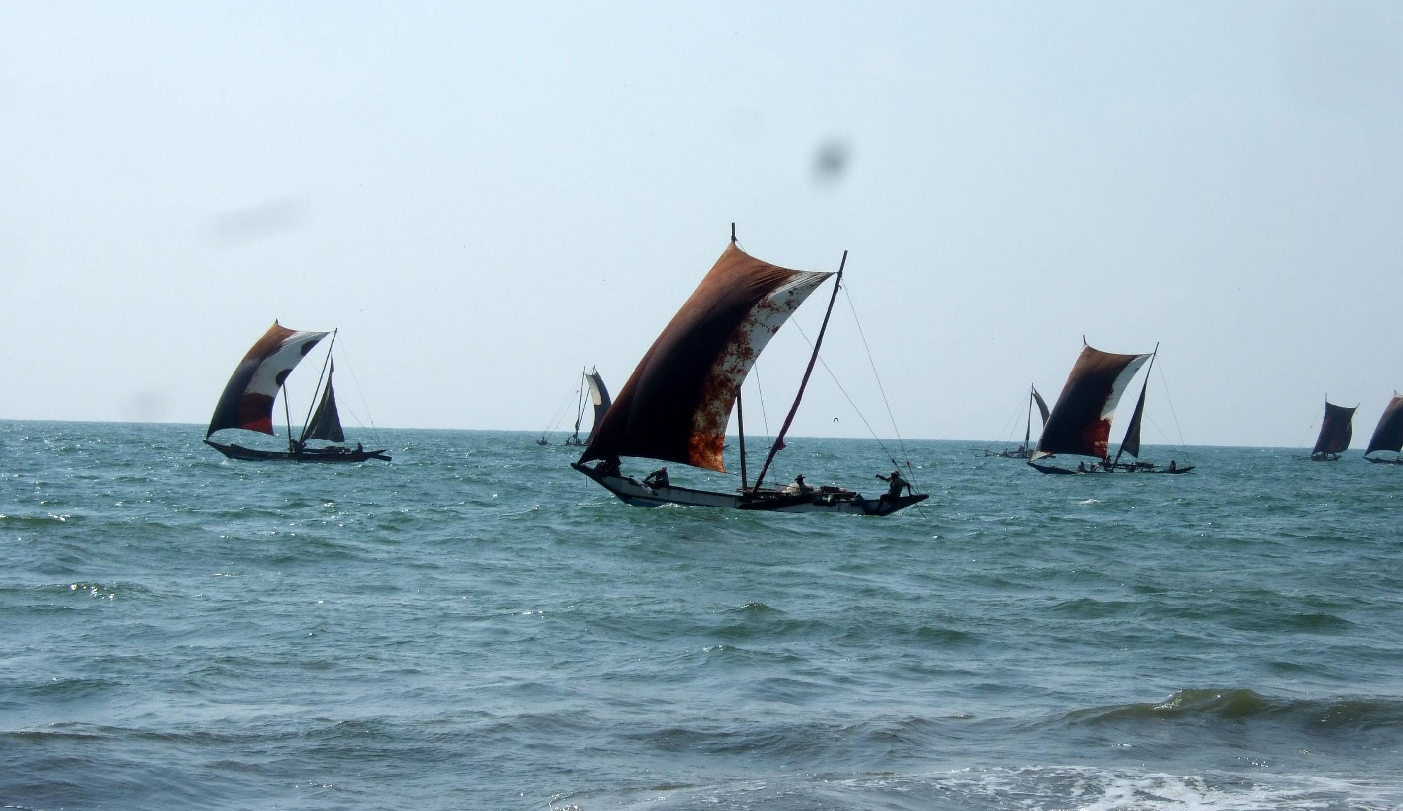 Aankomst in Negombo