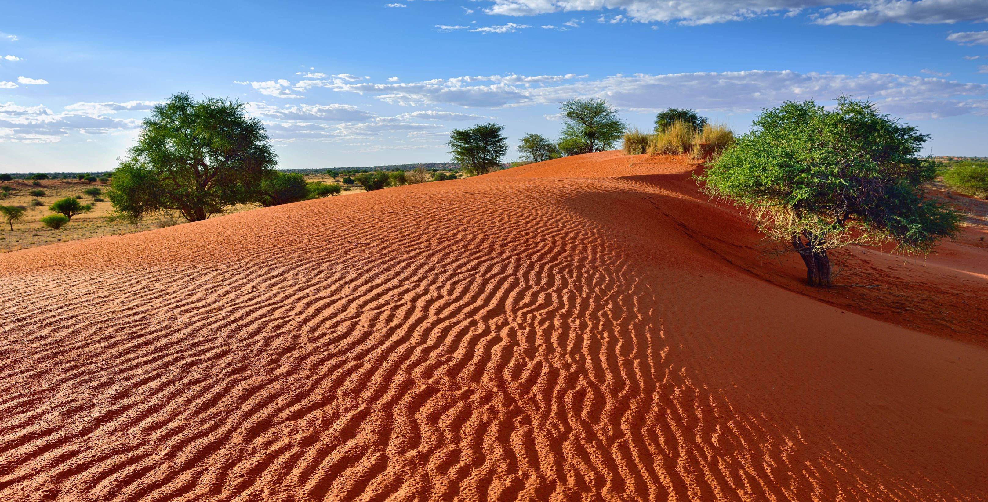 Kalahari - Die ersten Dünen sind in Sicht!