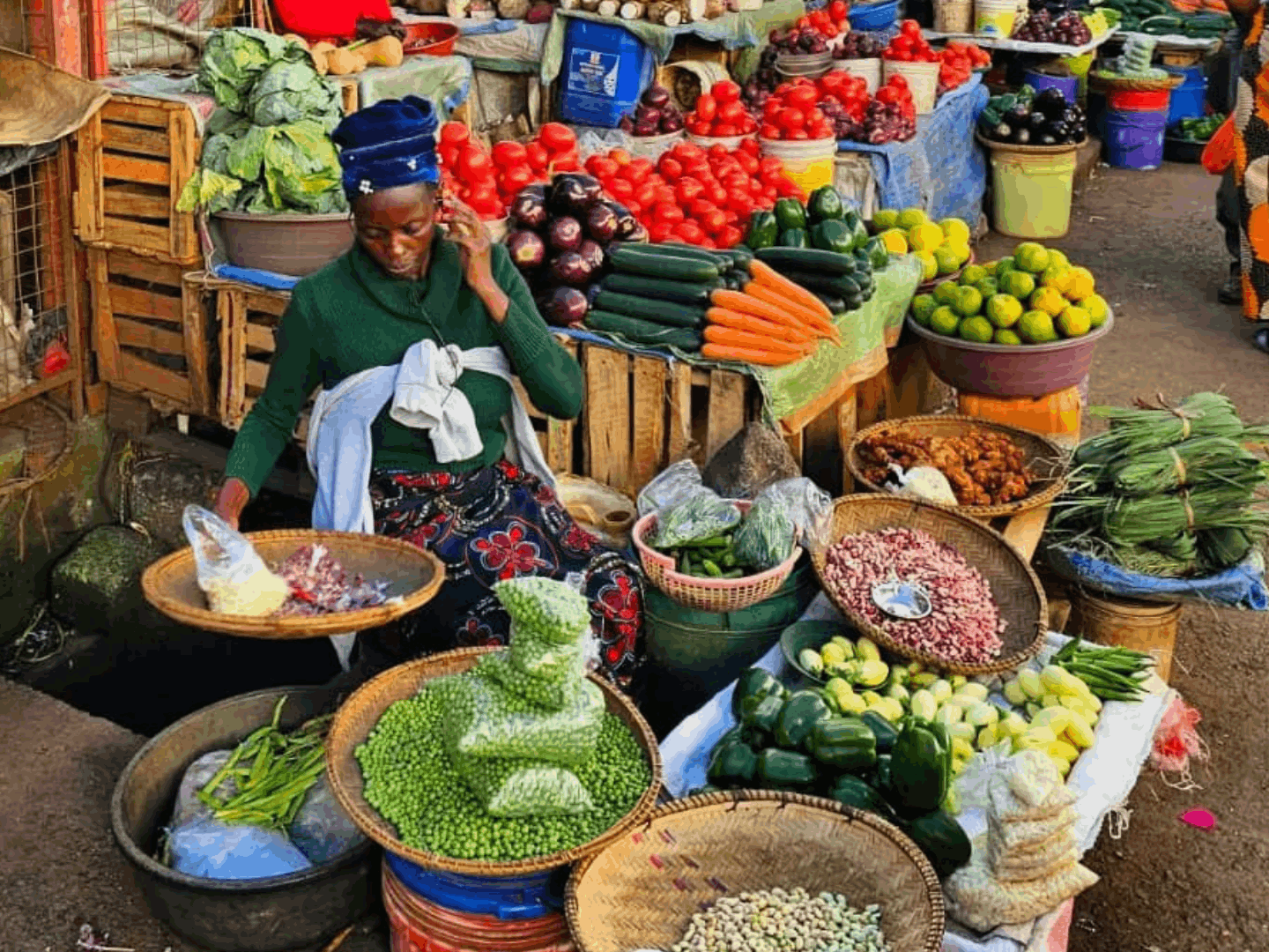 Benvenuti ad Arusha. Karibu Tanzania!