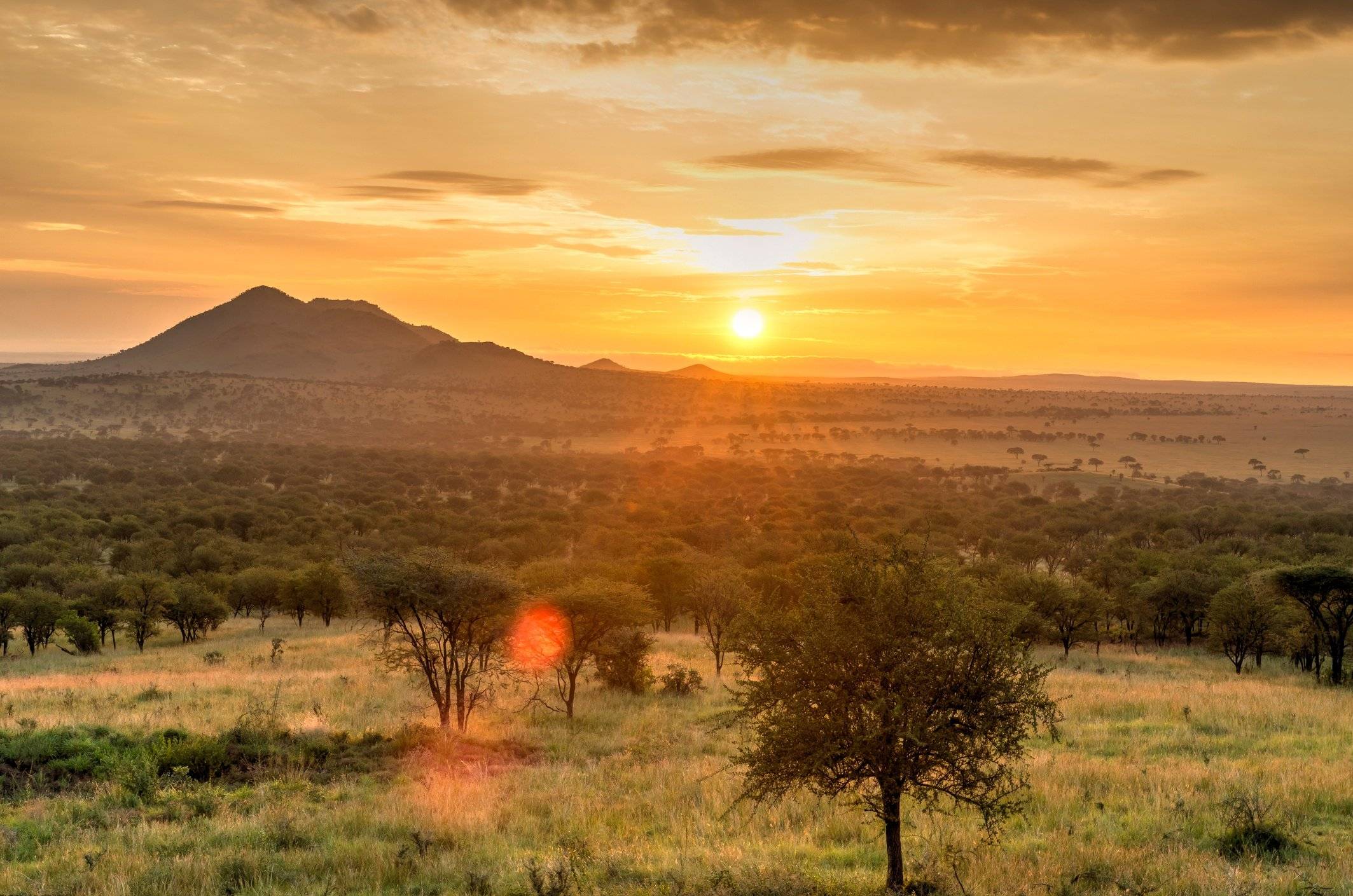 Premiers pas sur le sol tanzanien