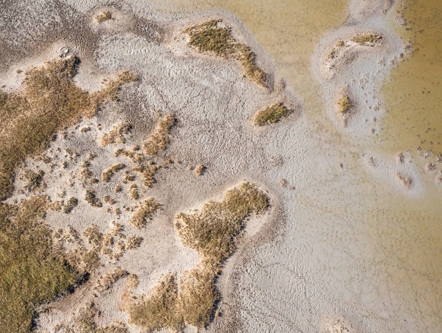 Il Lago Secco Salato del Makgadikgadi