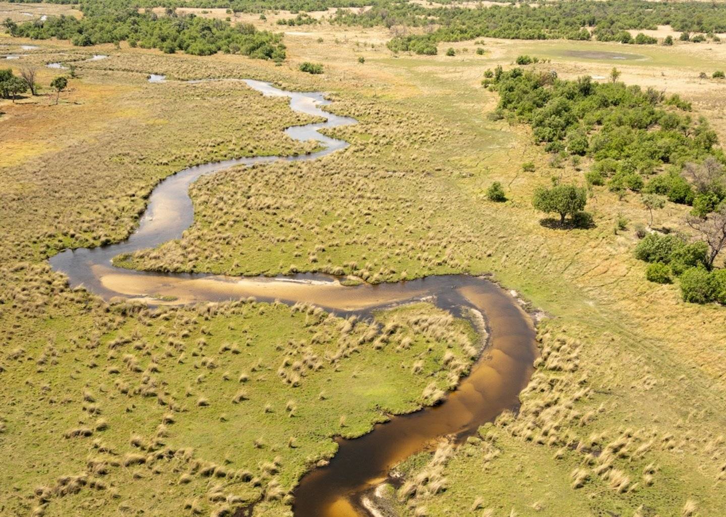 Da Maun al Delta dell'Okavango