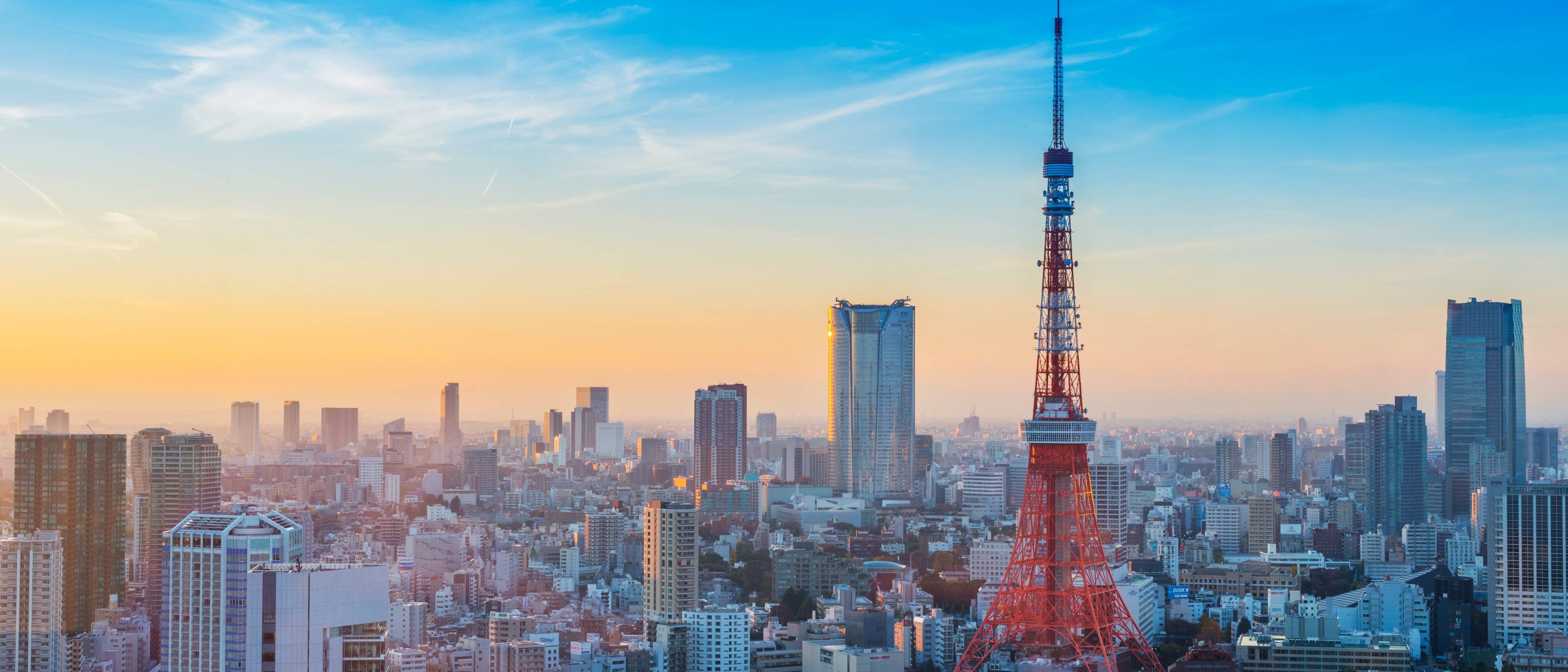 Arrivée dans la mégalopole de Tokyo