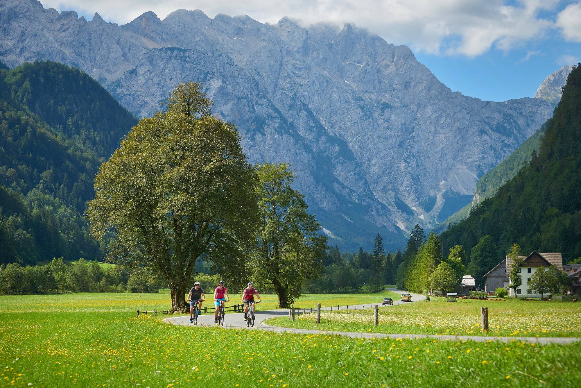 Au pied des Alpes