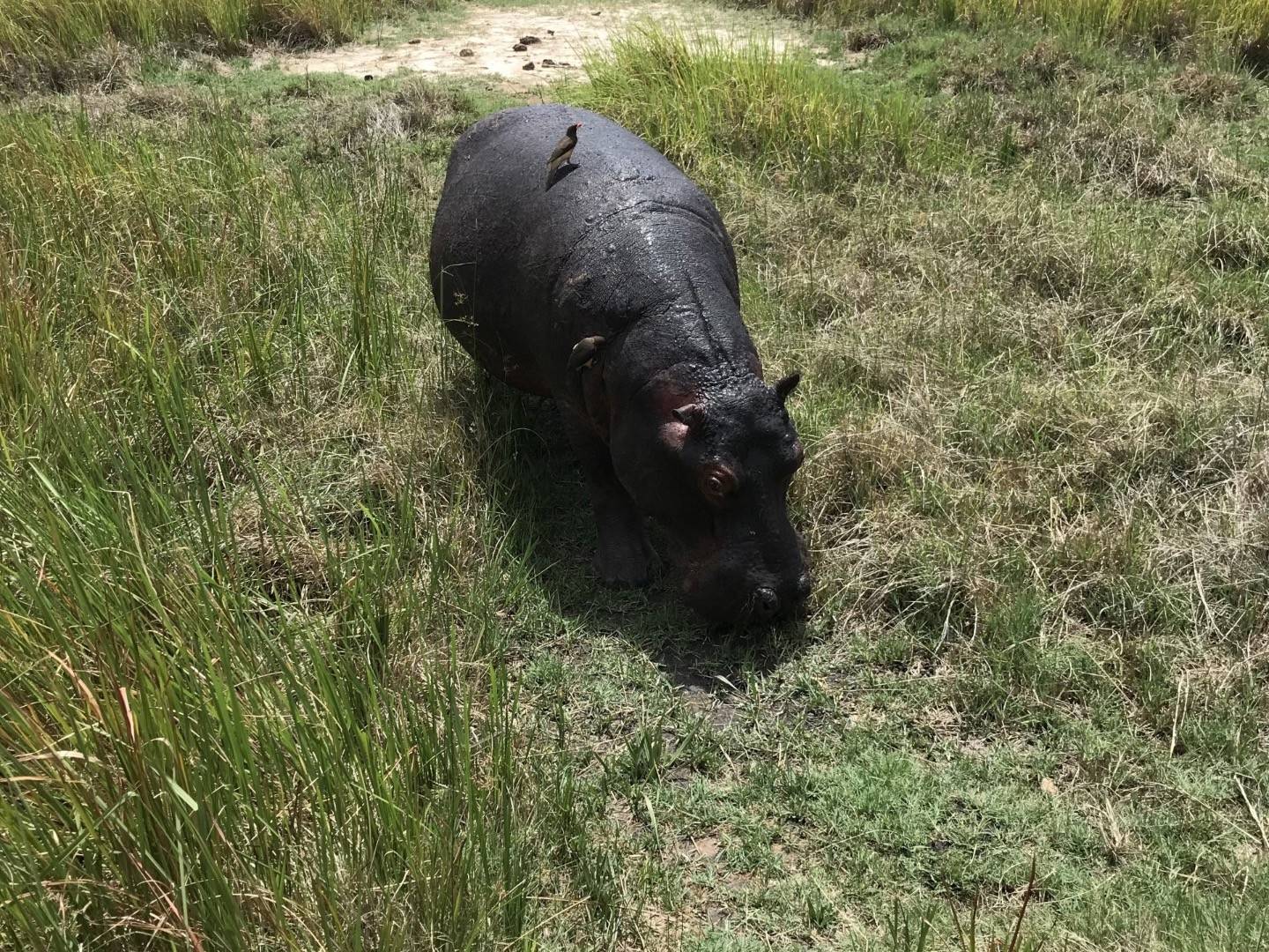 KwaZulu-Natal, terres Zulu