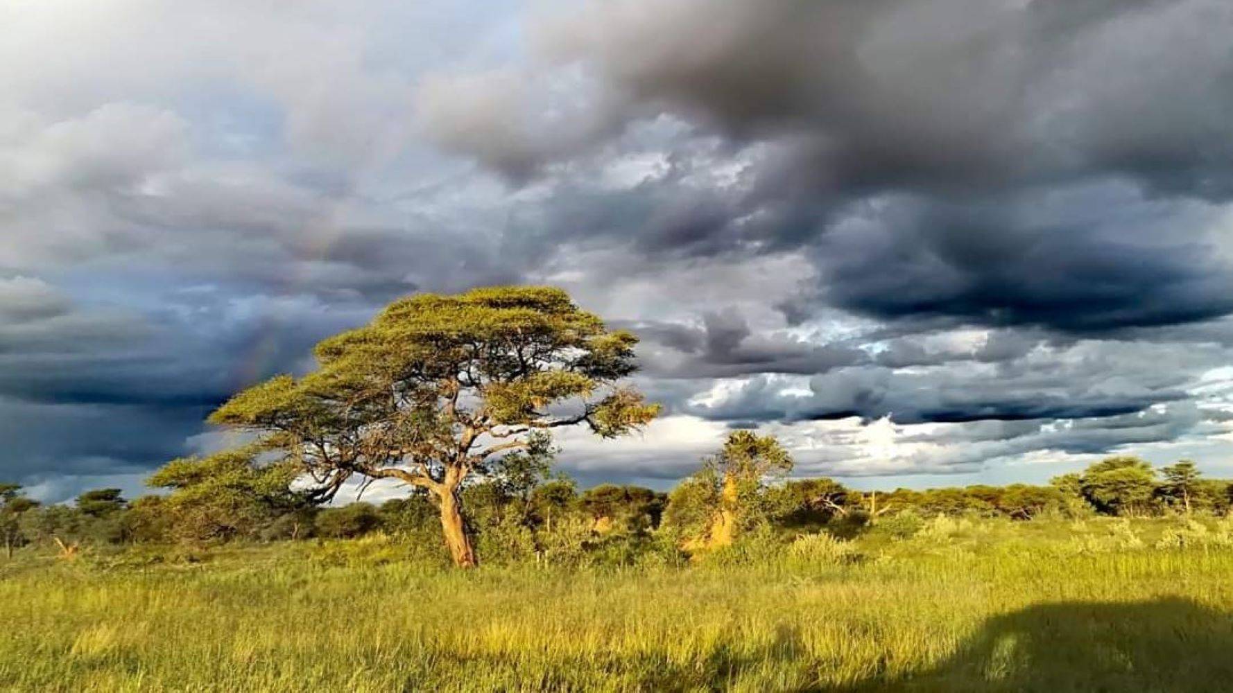 Benvenuti in Namibia