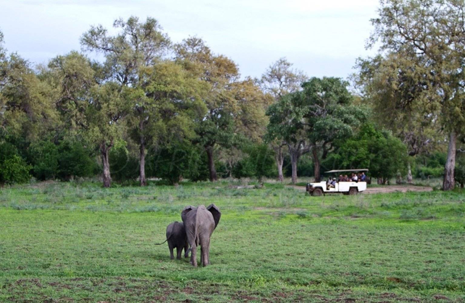 Benvenuti a Mfuwe, Zambia