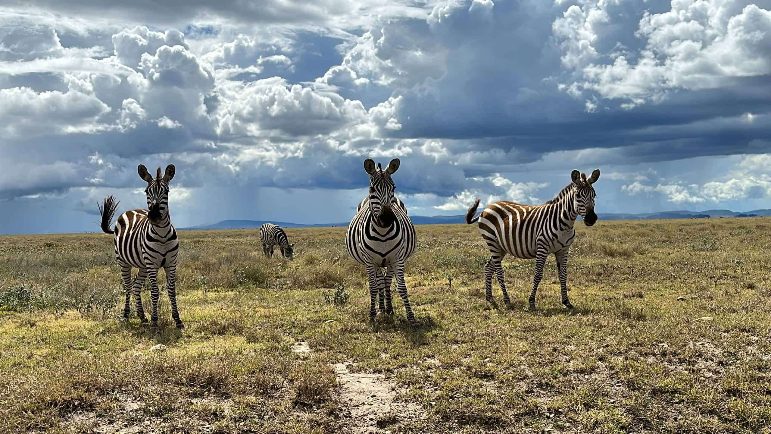 Bienvenue en Tanzanie