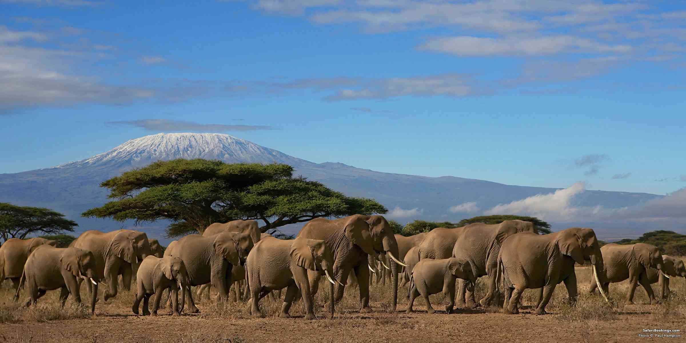 Bienvenue en Tanzanie