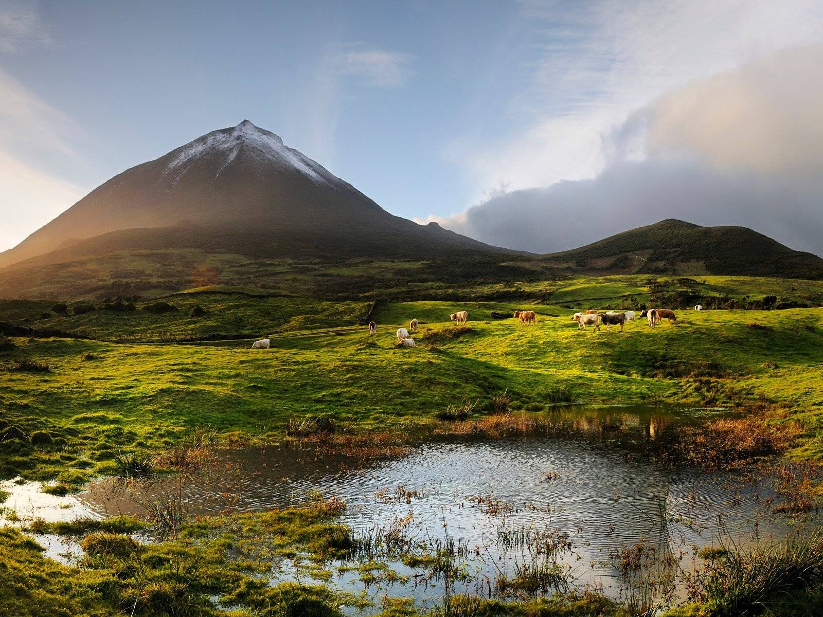 Arrivée à Pico