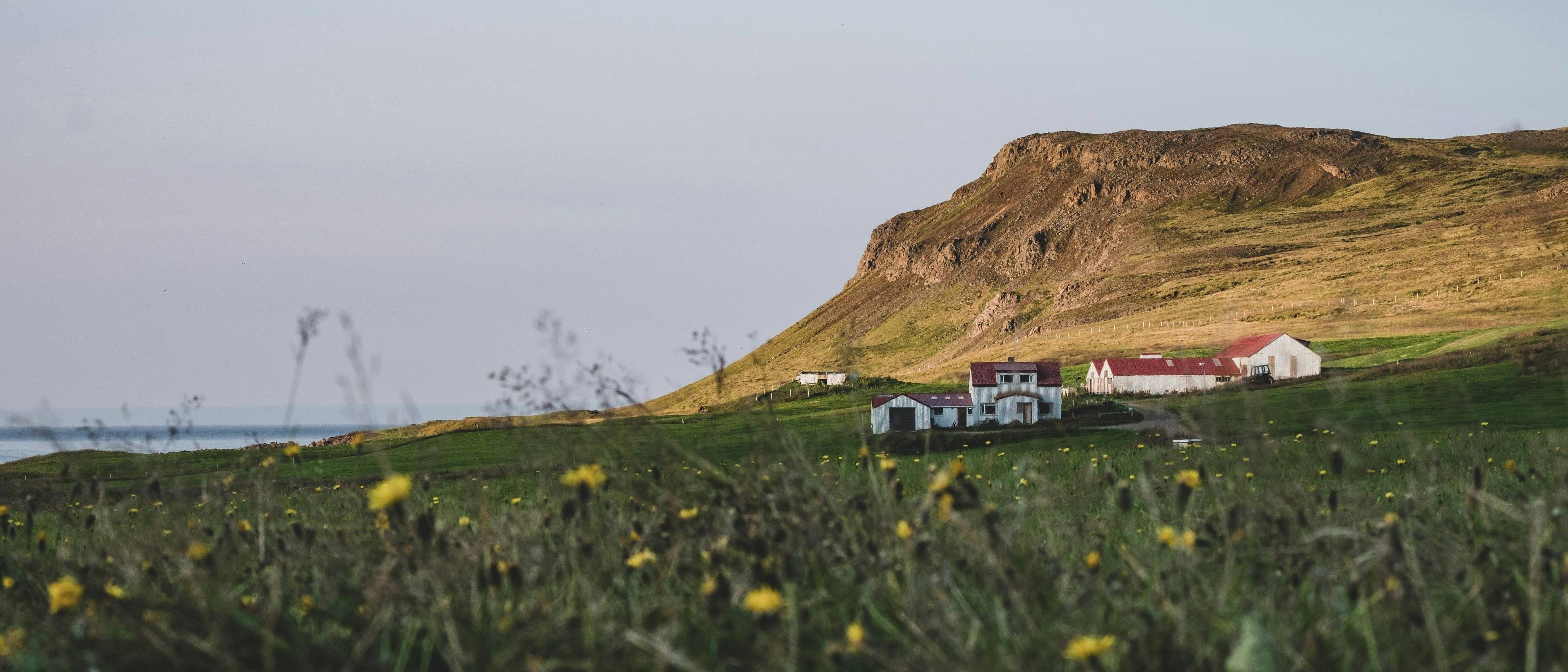 Bienvenue en Islande