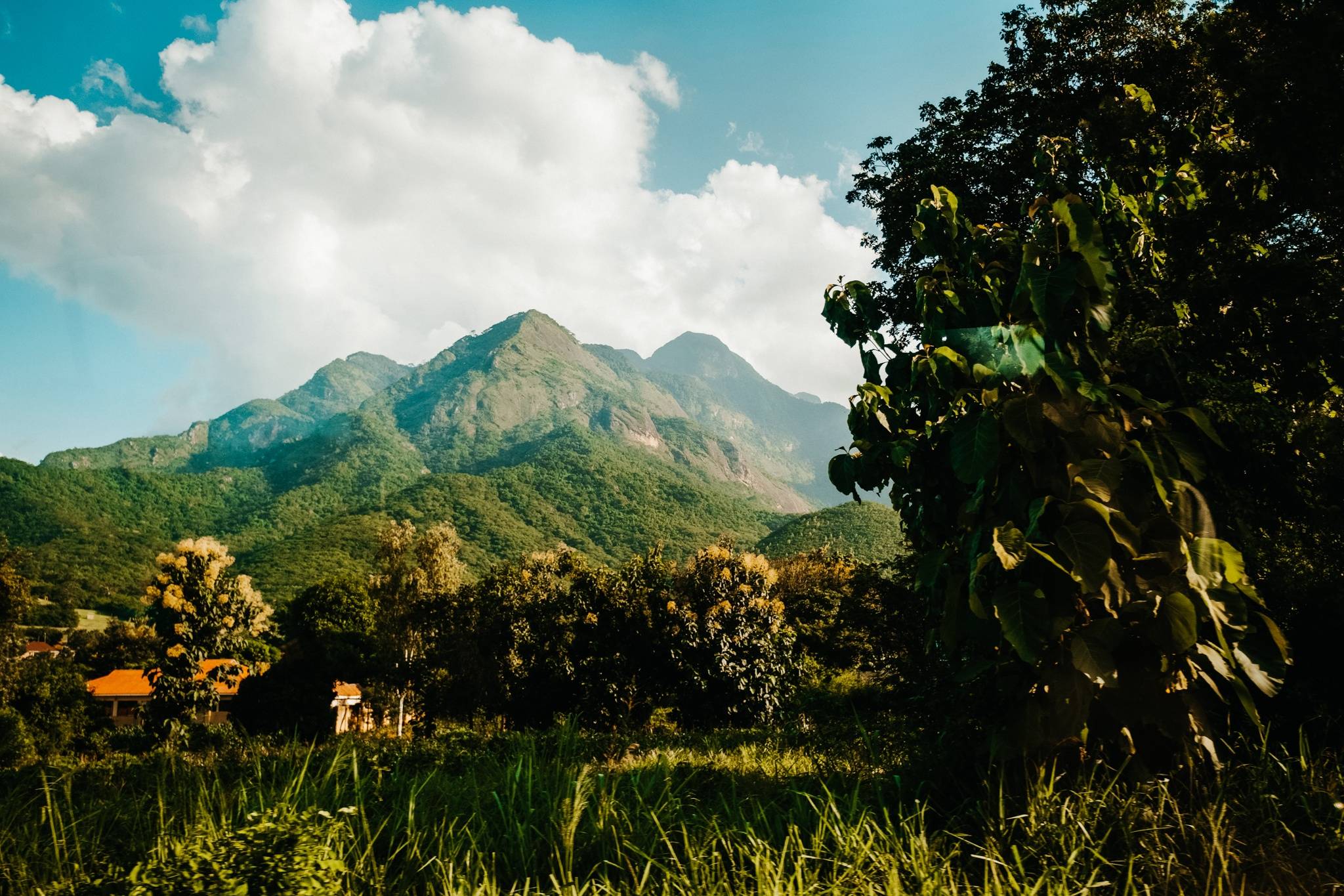 Llegada al Aeropuerto Internacional del Kilimanjaro y traslado a la zona del Parque Nacional de Arusha