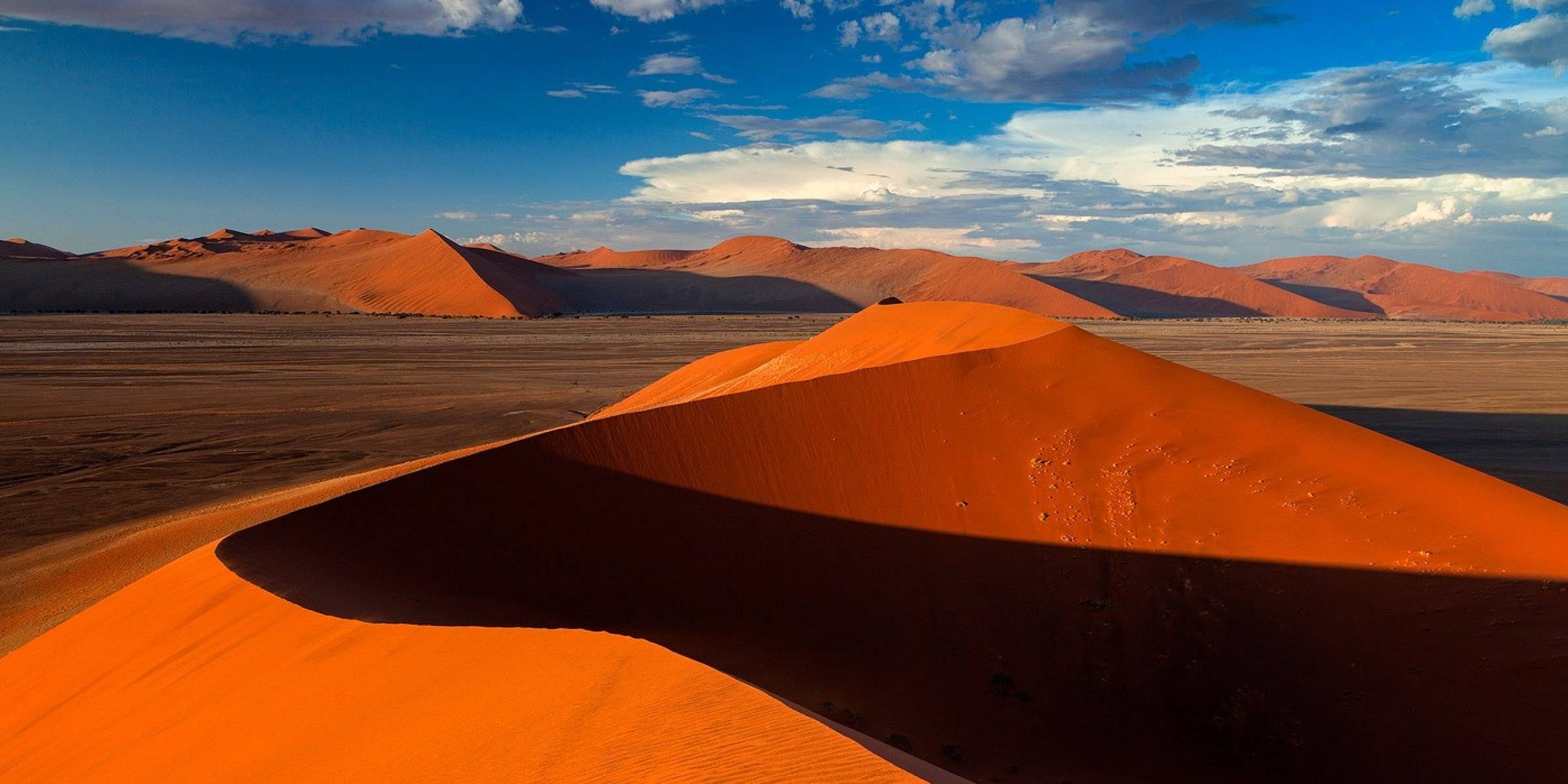 Alla scoperta del mondo delle dune