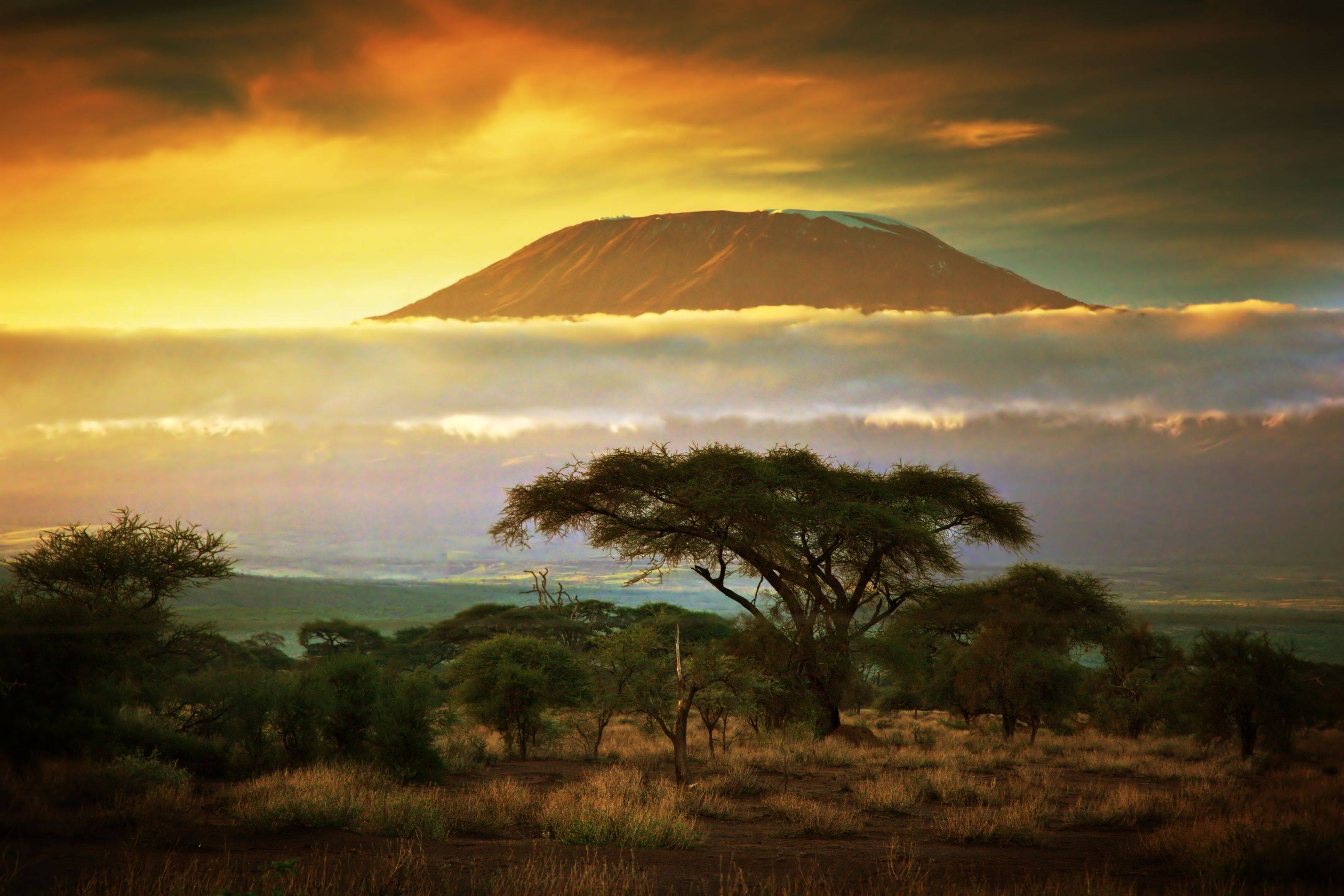 Del Monte Kilimanjaro a los Parques del Norte de Tanzania