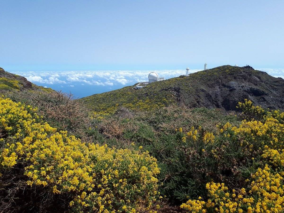 La Palma, isla bonita à pied et en liberté