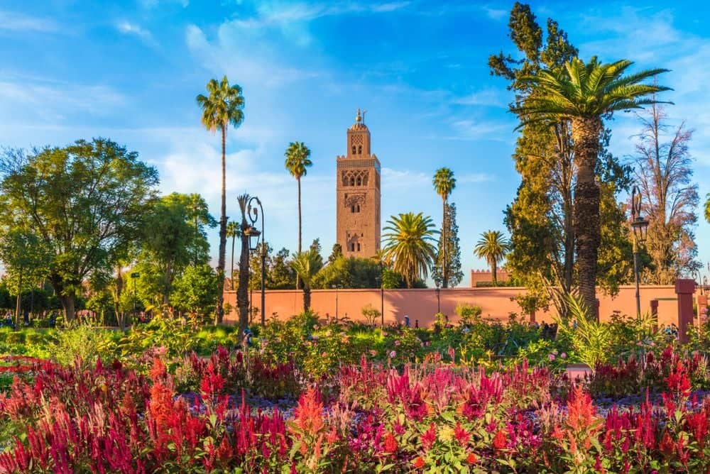 Corazón de Marruecos, naturaleza y desierto