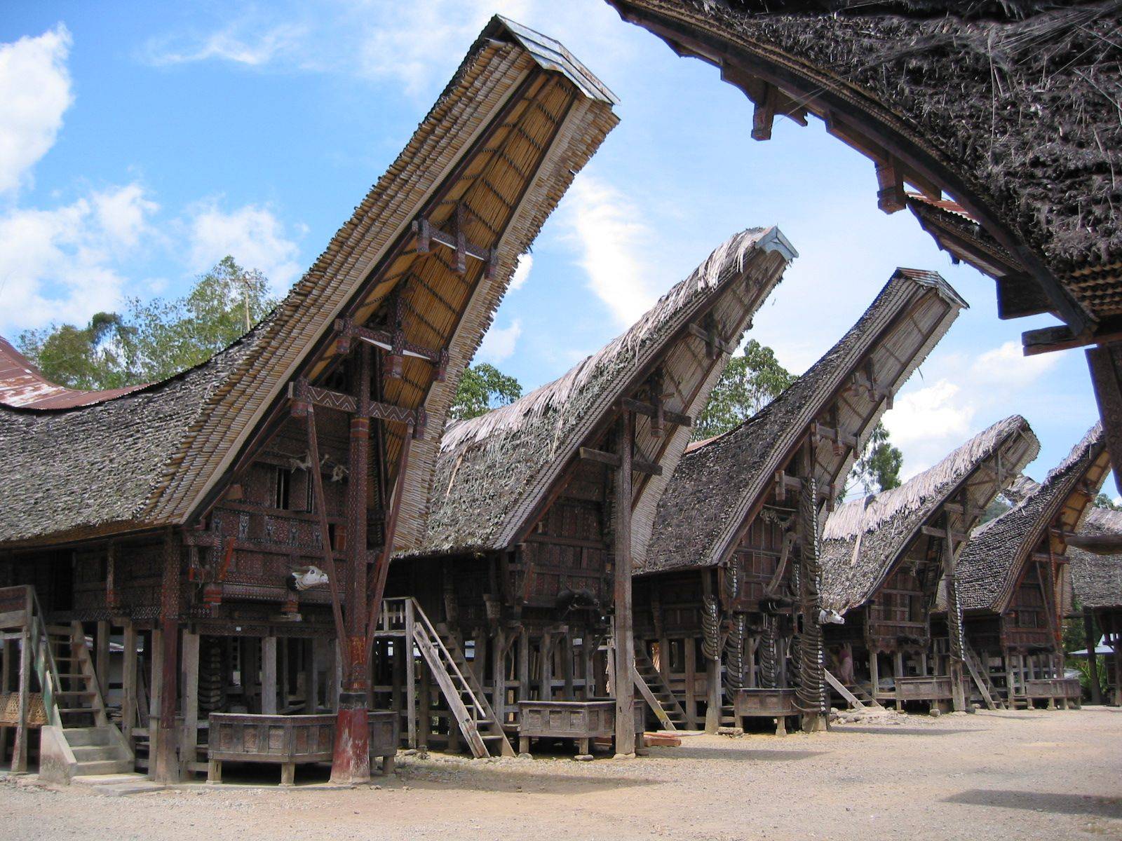 Il Culto di Toraja e relax nelle acque cristalline di Selayar