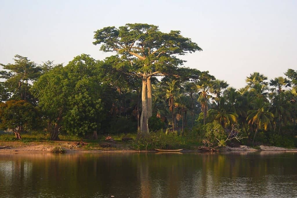 Randonnées et rencontres avec les ethnies de la verte Casamance
