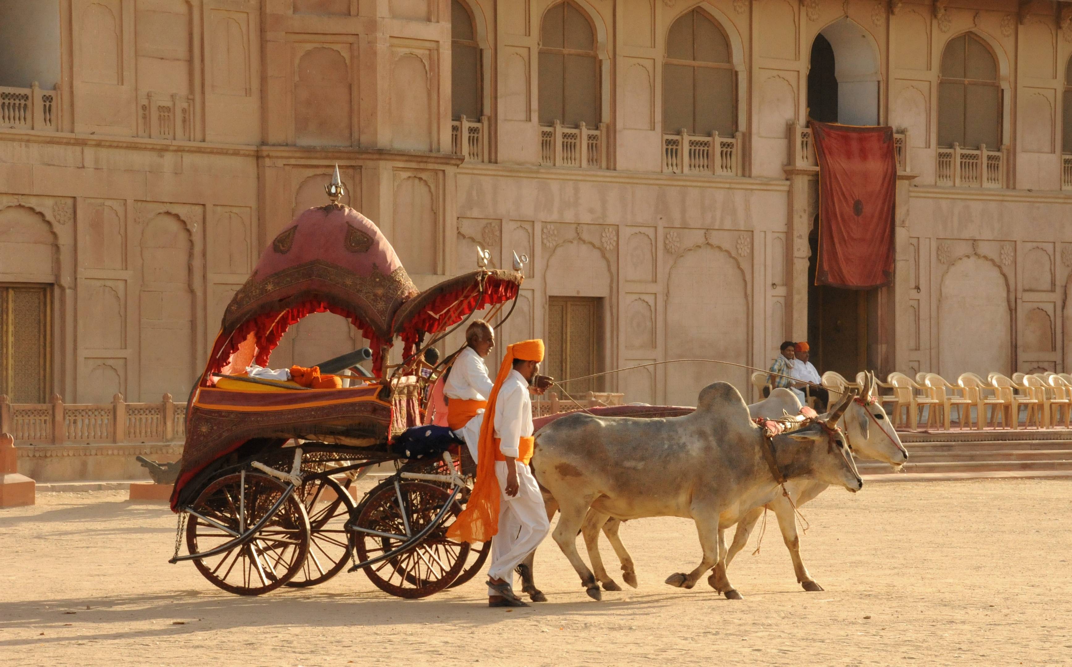 Esperienze culturali e umane nella terra dei Maharaja