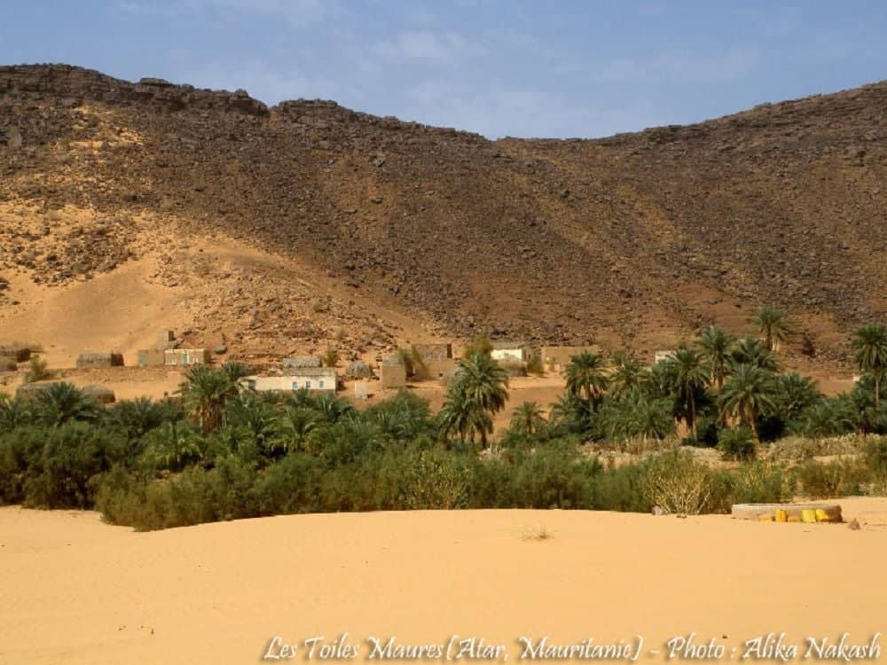 Des dunes et oasis du désert de l'Adrar aux rivages de l'océan en 4x4