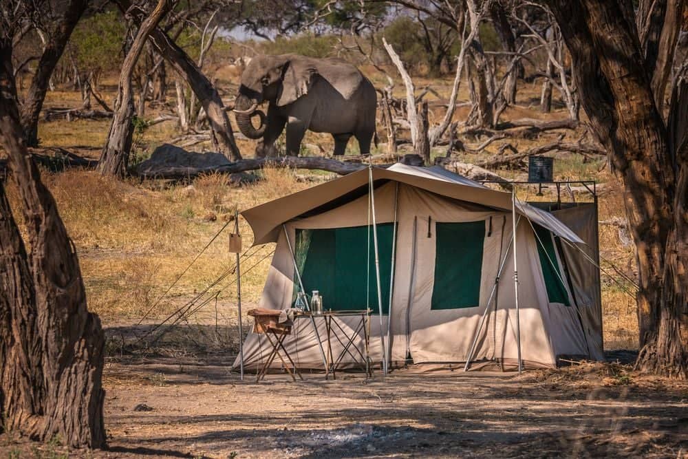 Camping-Safari zwischen Kalahari, Okavango Delta und Chobe River