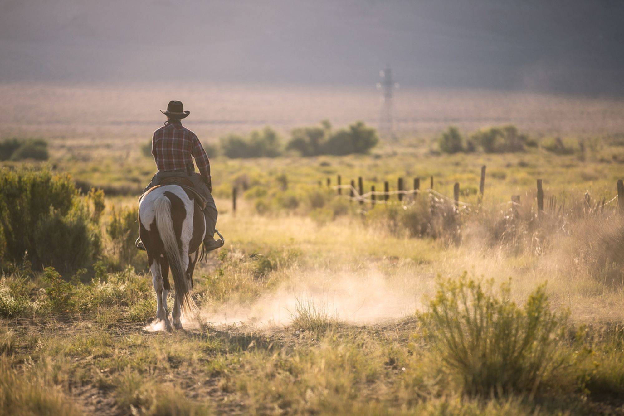 Texas, ranchs et cowboys