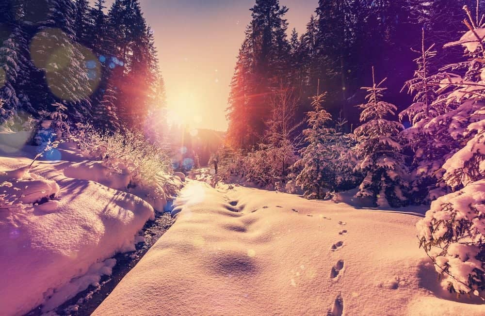 Magisches Winterwunderland in Lappland