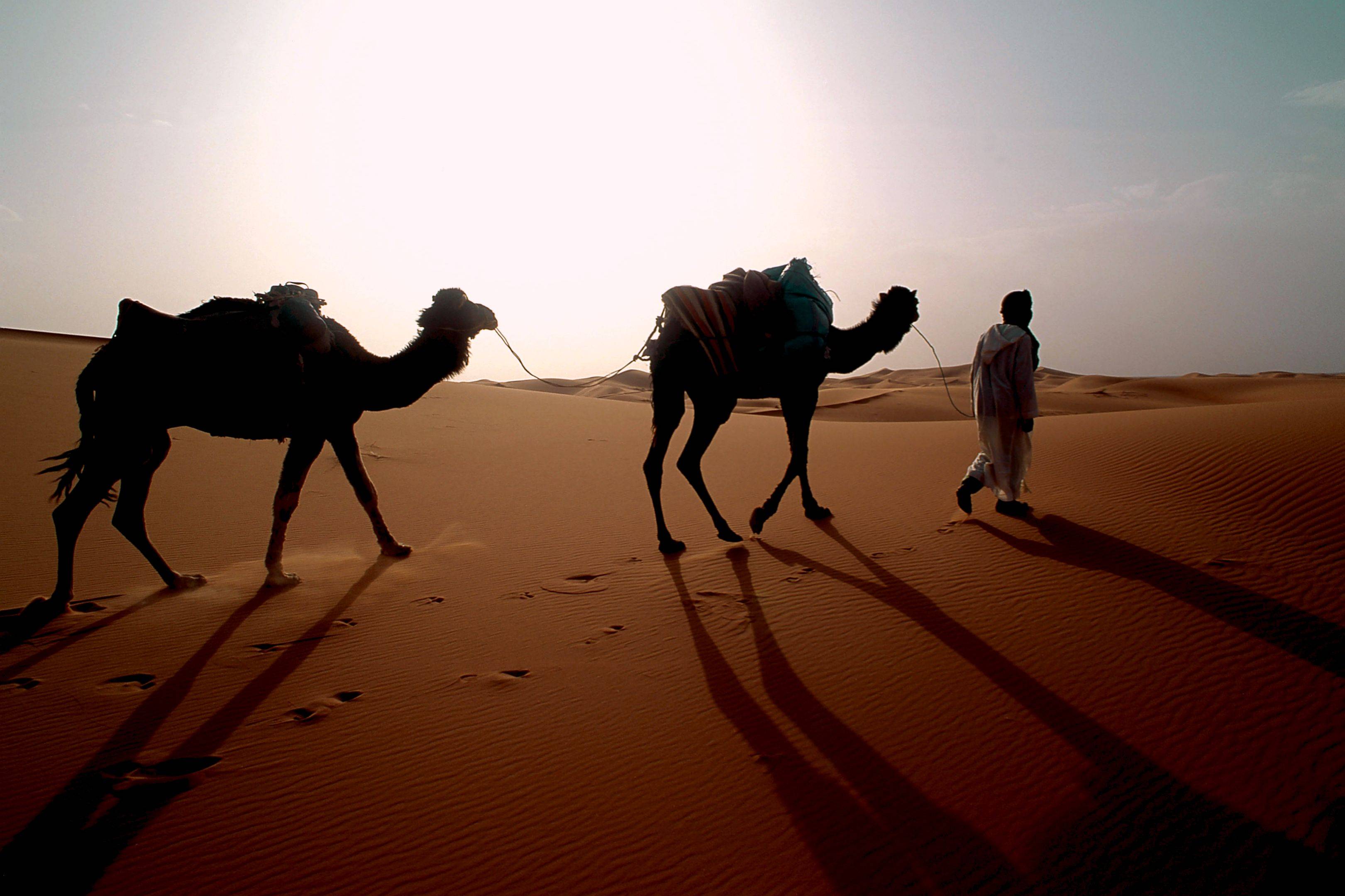 Wanderreise - auf den Spuren der Beduinen