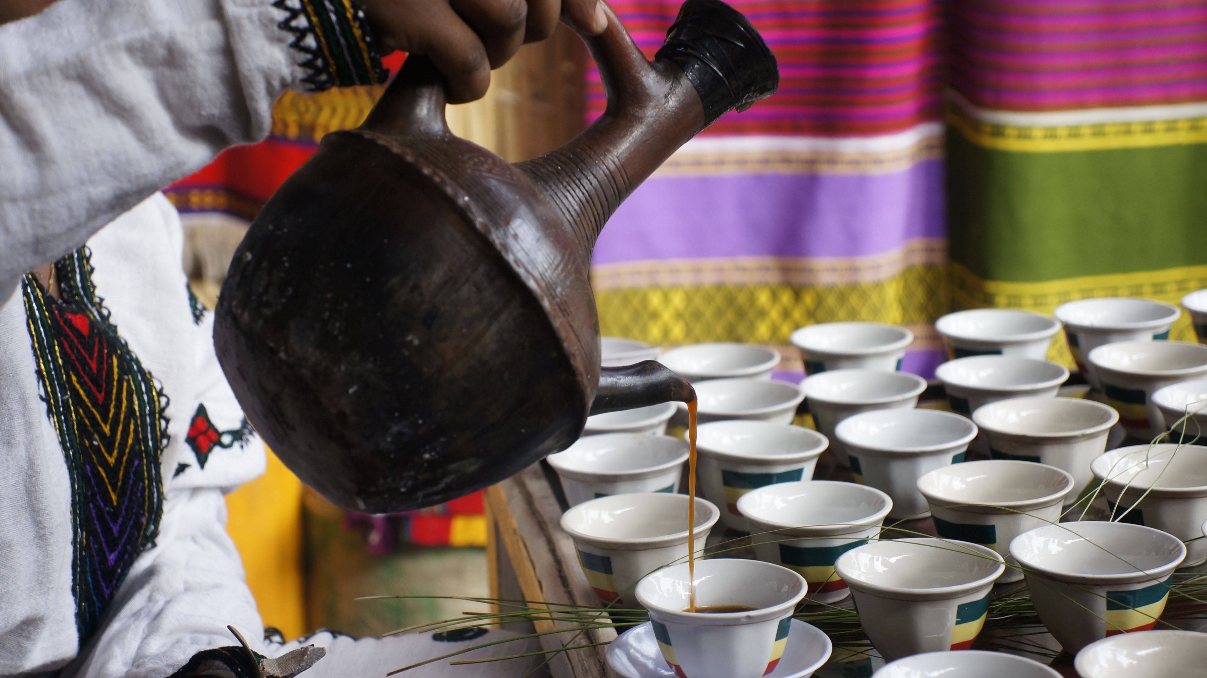 Kaffee, Kaffee, Kaffee - von Harar bis zum letzten wilden Kaffeewald