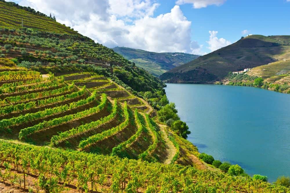 Flora, Fauna, Kulinarik und Wein im Douro Tal