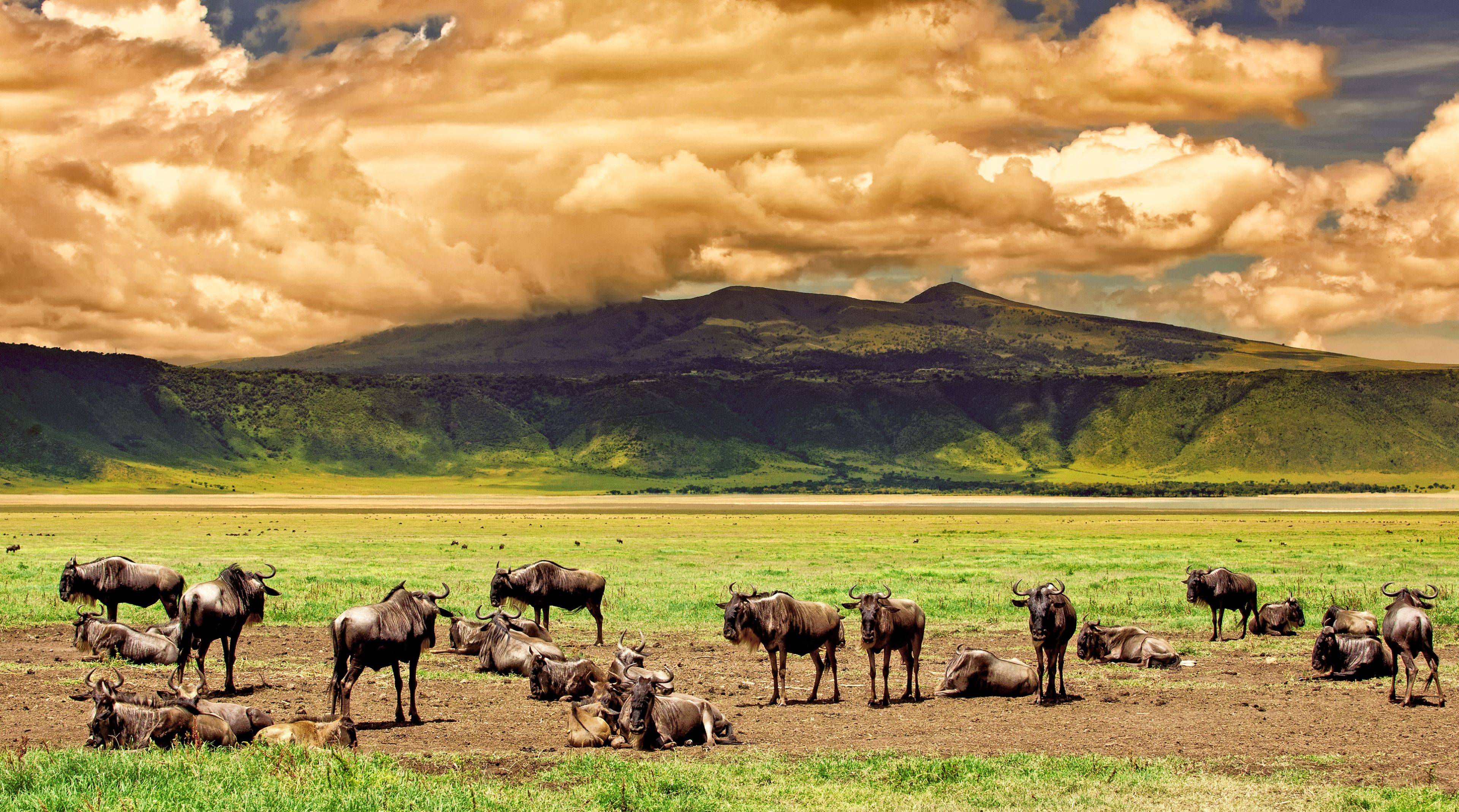Von Tarangire nach Ngorongoro