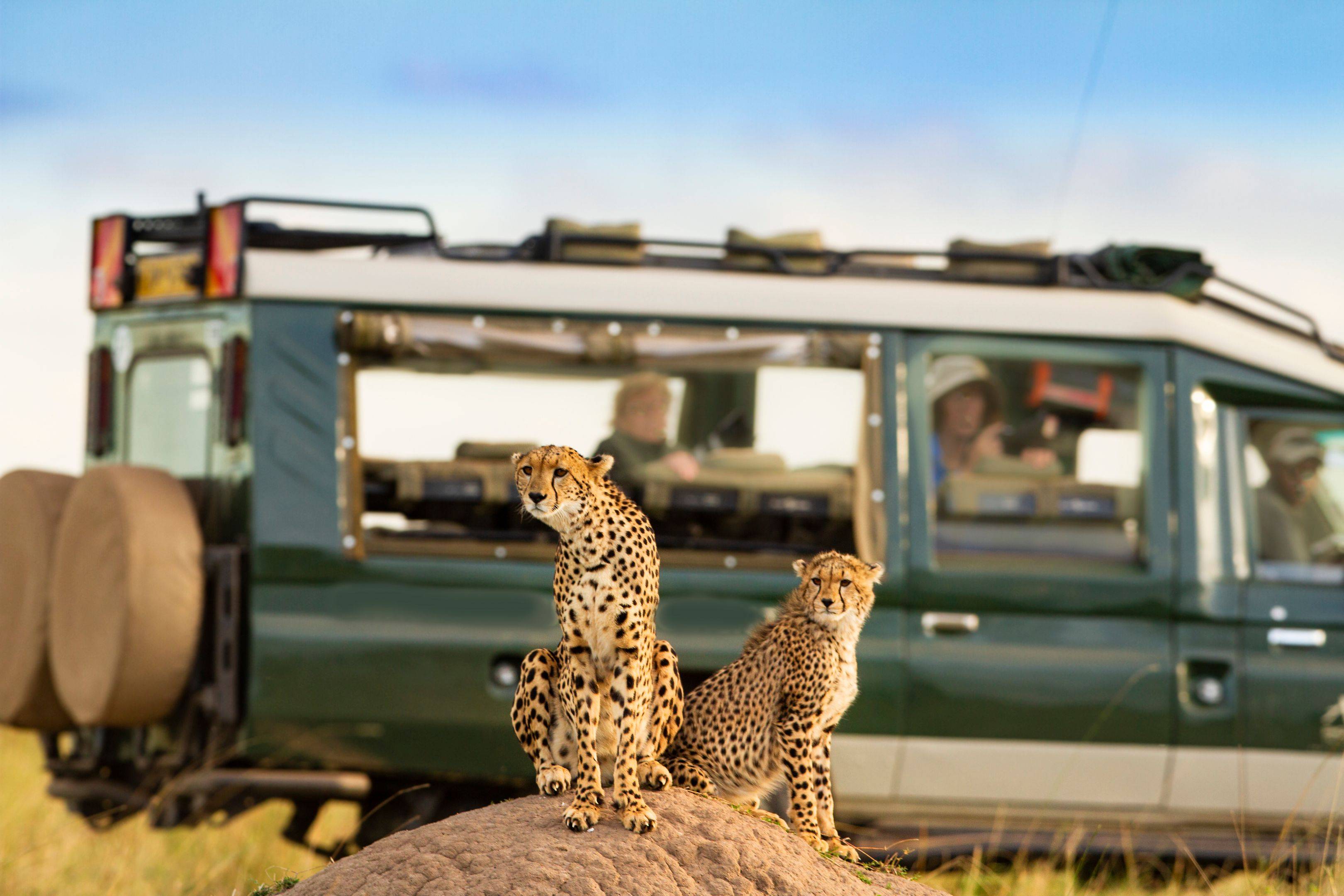 Safari, cultura e relax tra Kenya e Tanzania