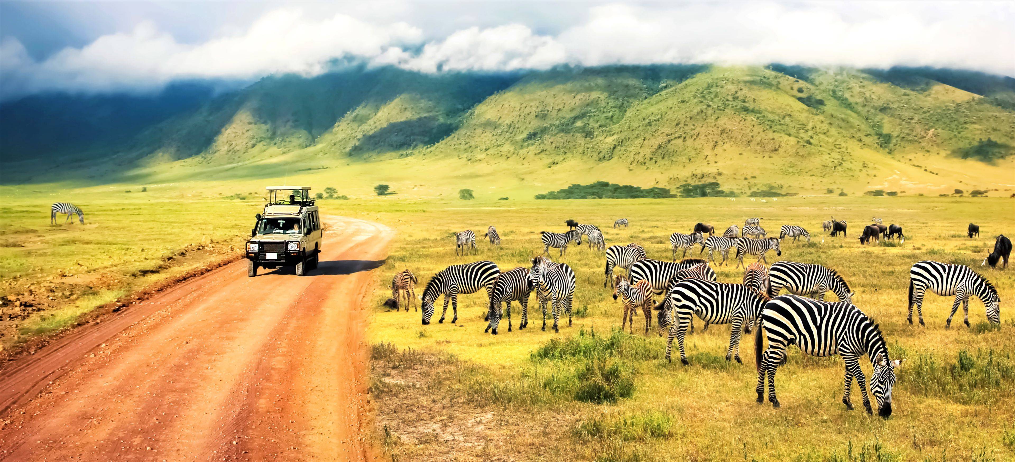 Safari confort en los mejores parques de Tanzania