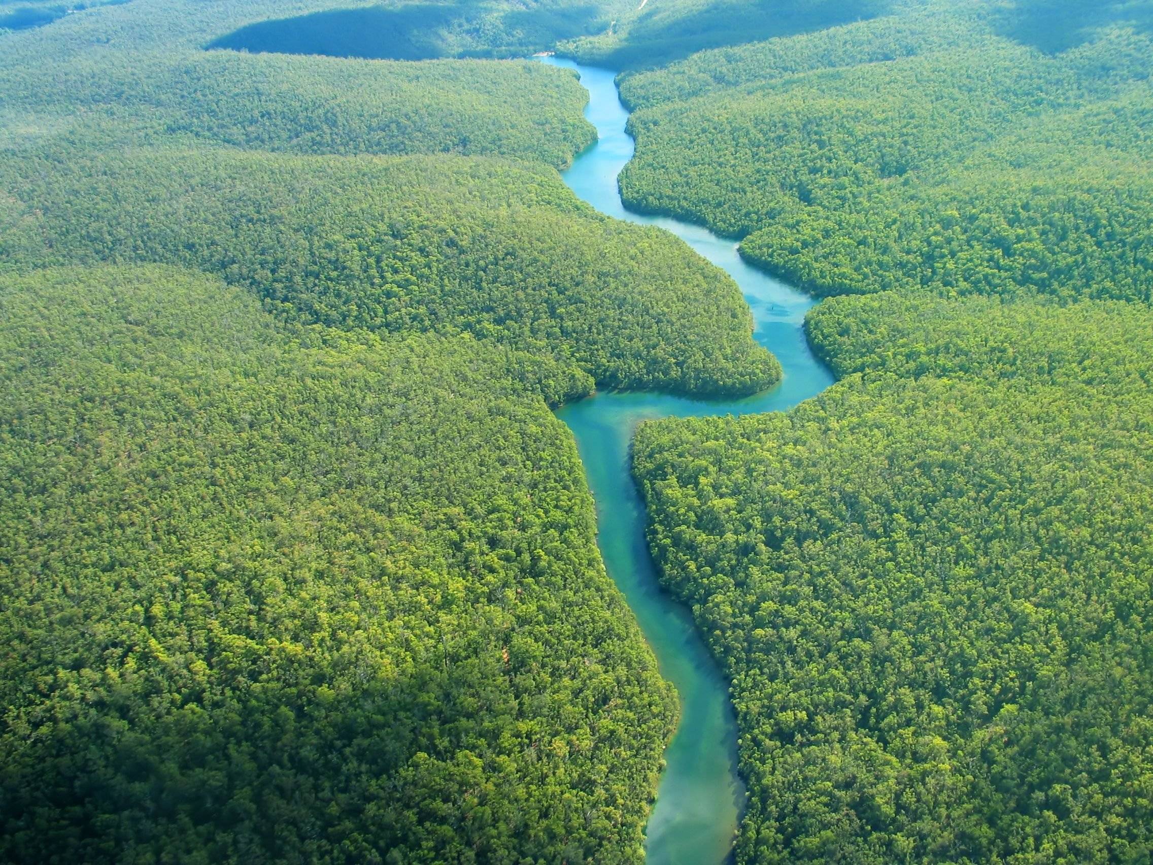 Giungla experience: seguendo il corso del Rio delle Amazzoni