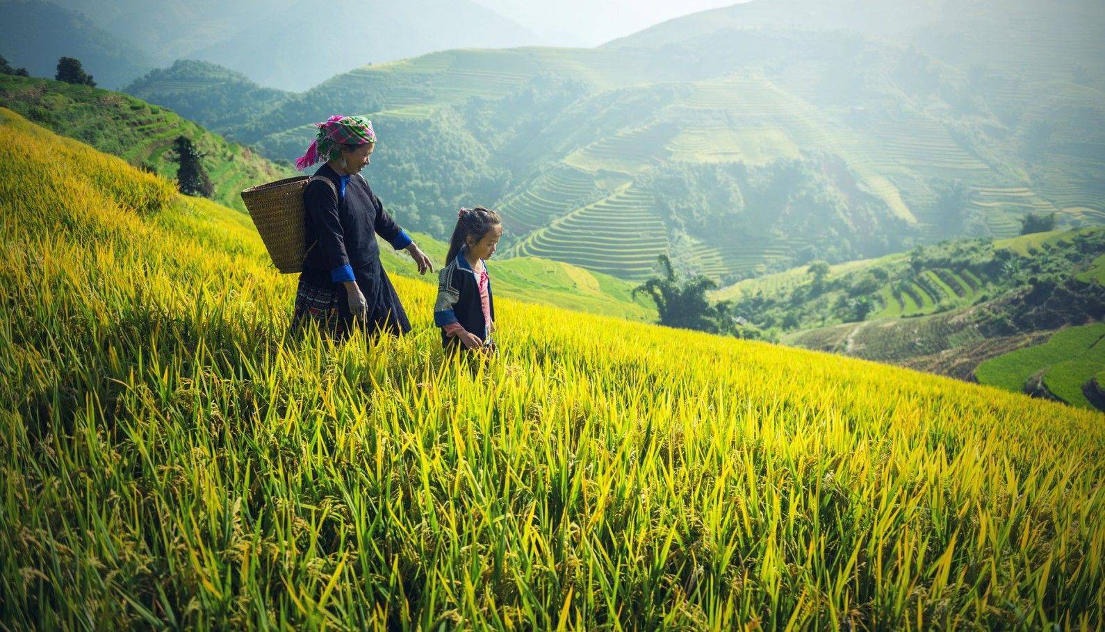 Combiné Laos Vietnam, Ethnies du nord et rizières en terrasse