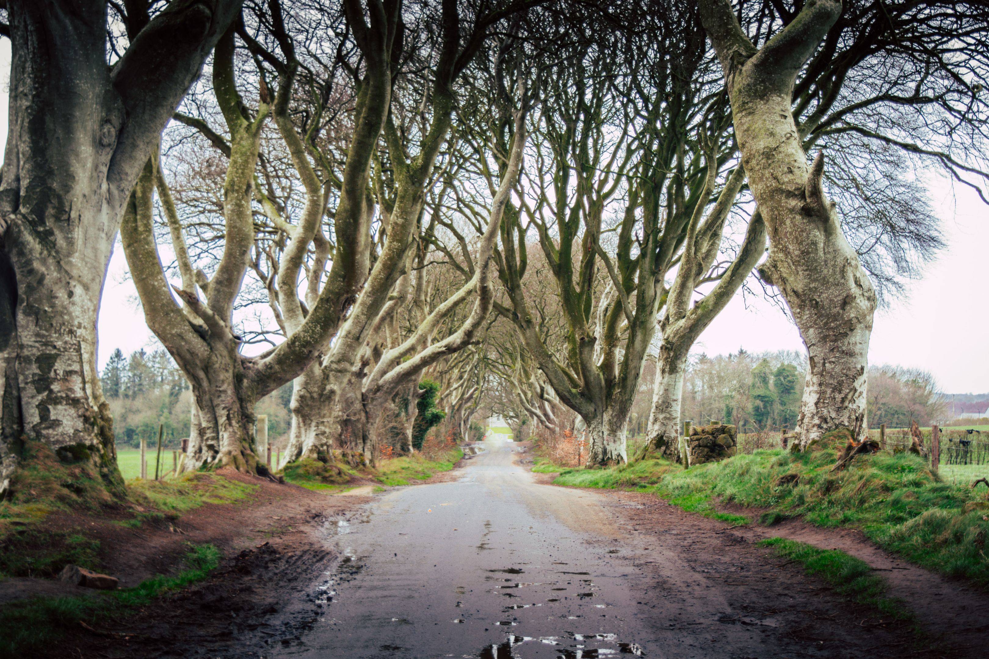 Sur les traces de Game of Thrones - De Dublin à l'Irlande du Nord