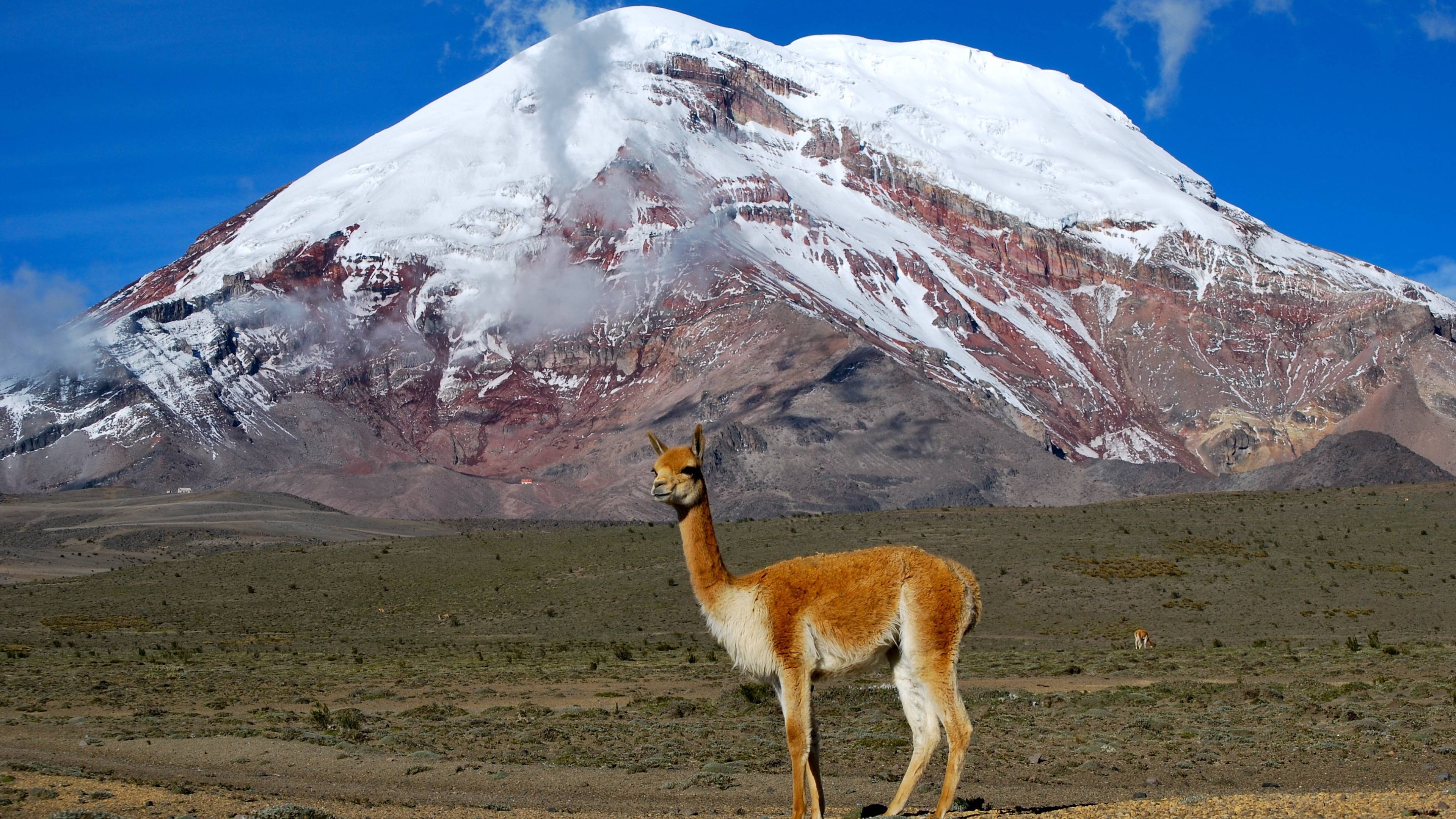 Expedición de aventura andina por carretera