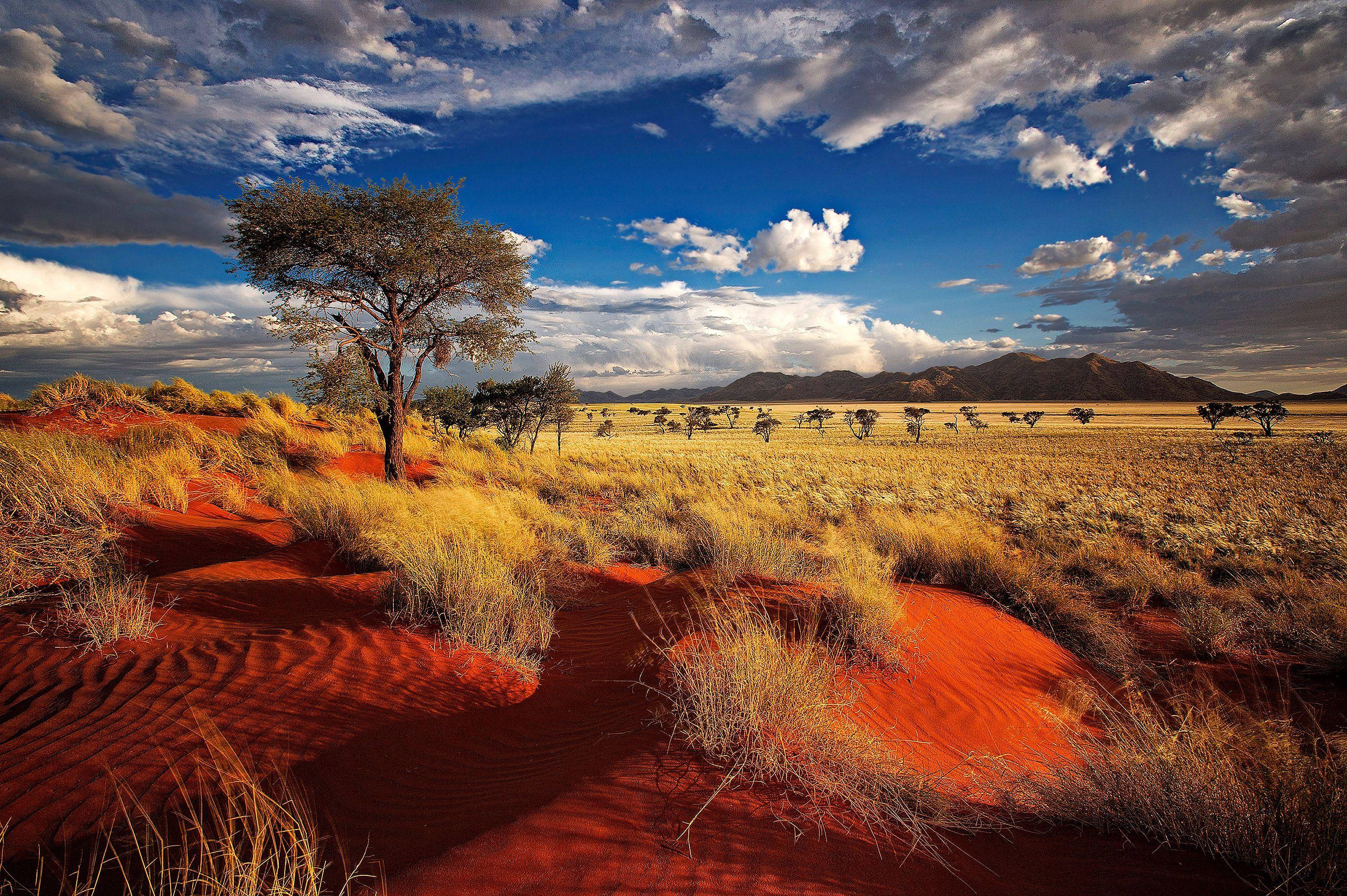 Alla scoperta di Namibia e Sudafrica con guida privata