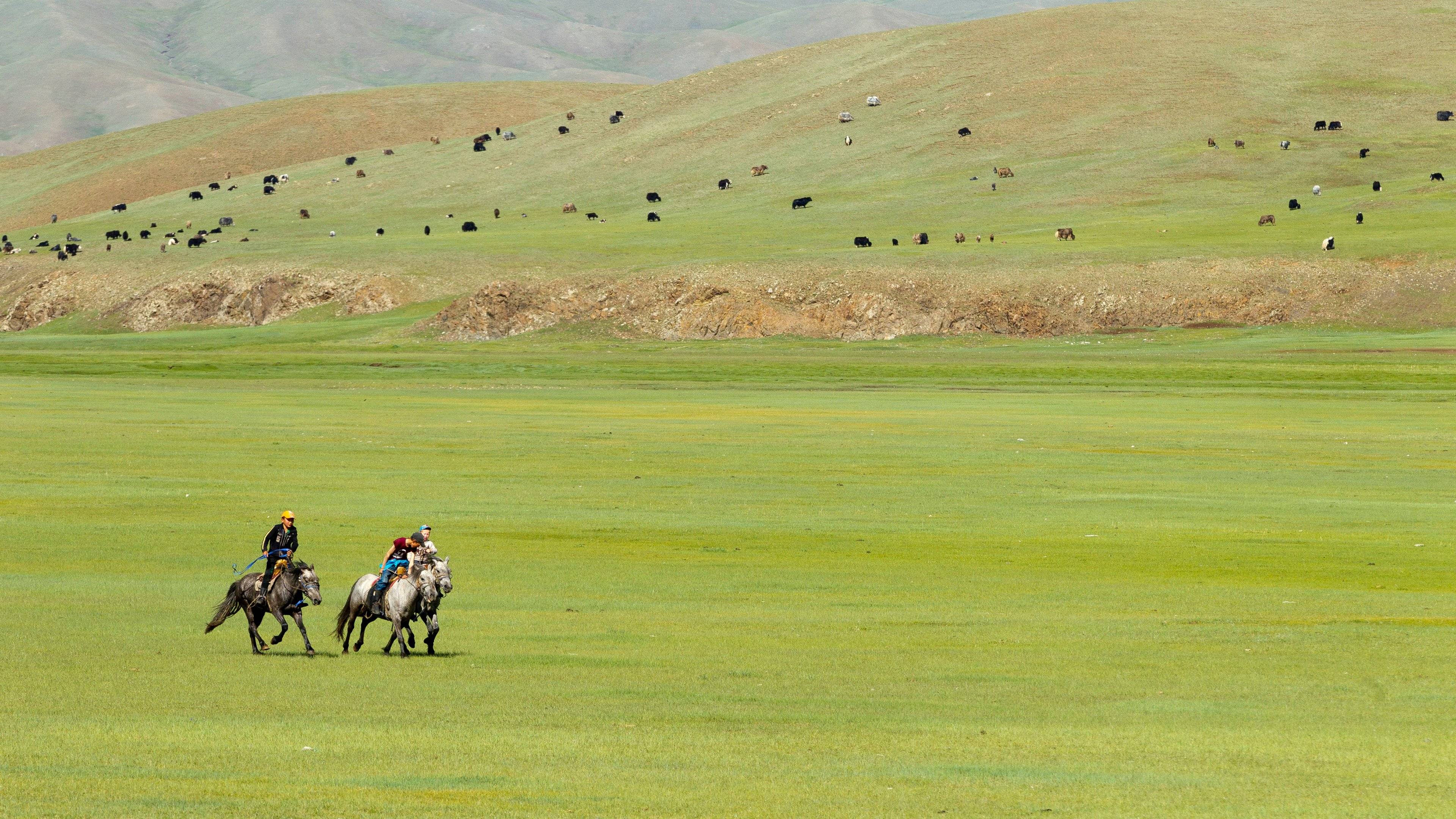 Randonnée à cheval dans les steppes mongoles