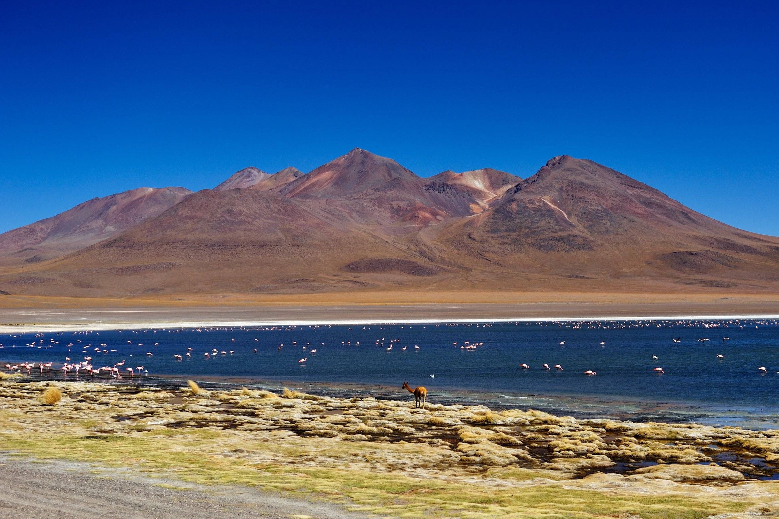 Entre ciel et terre : Titicaca, Lipez, Salar et Potosi