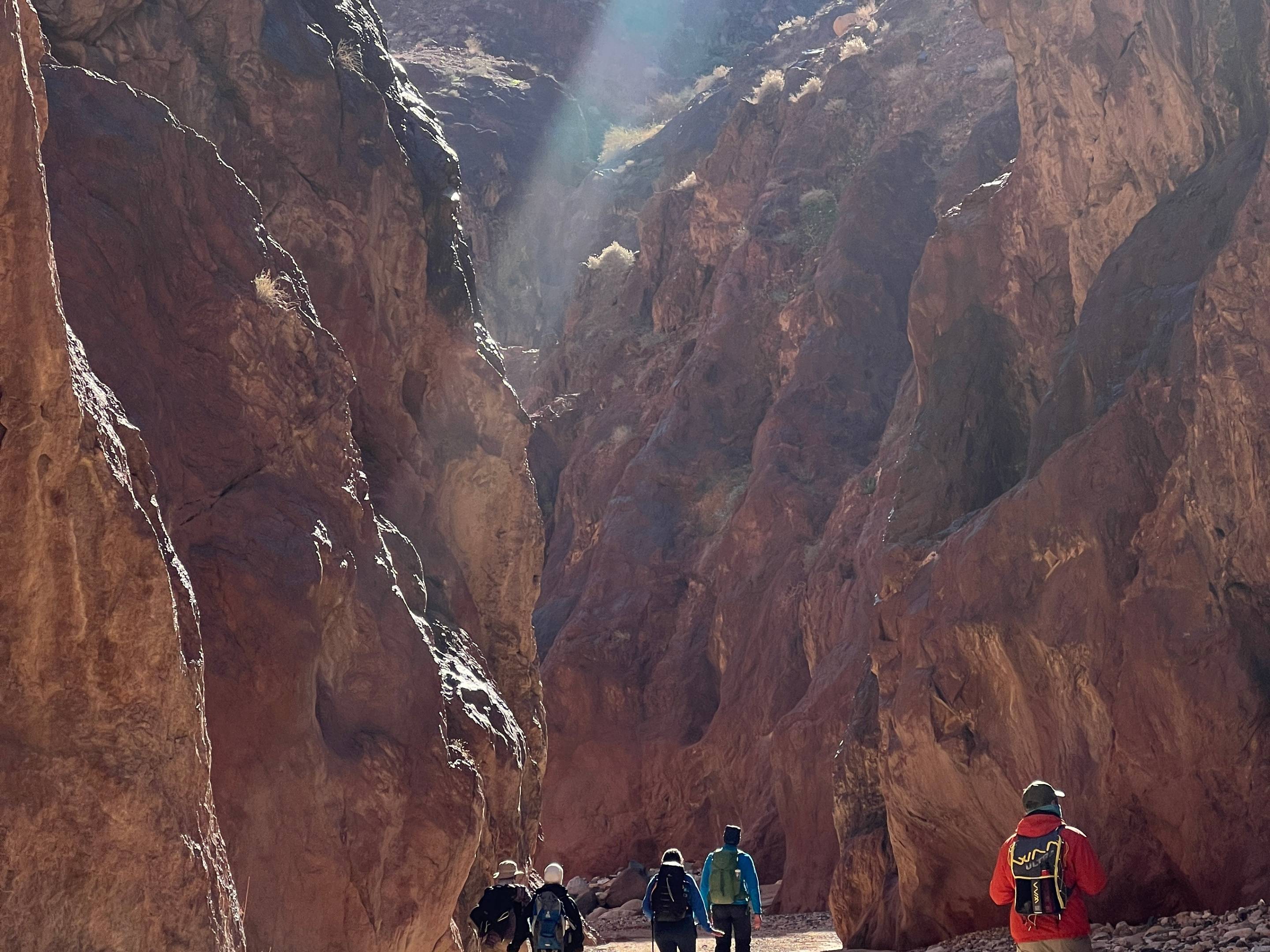 Trekking van Petra naar Wadi Rum