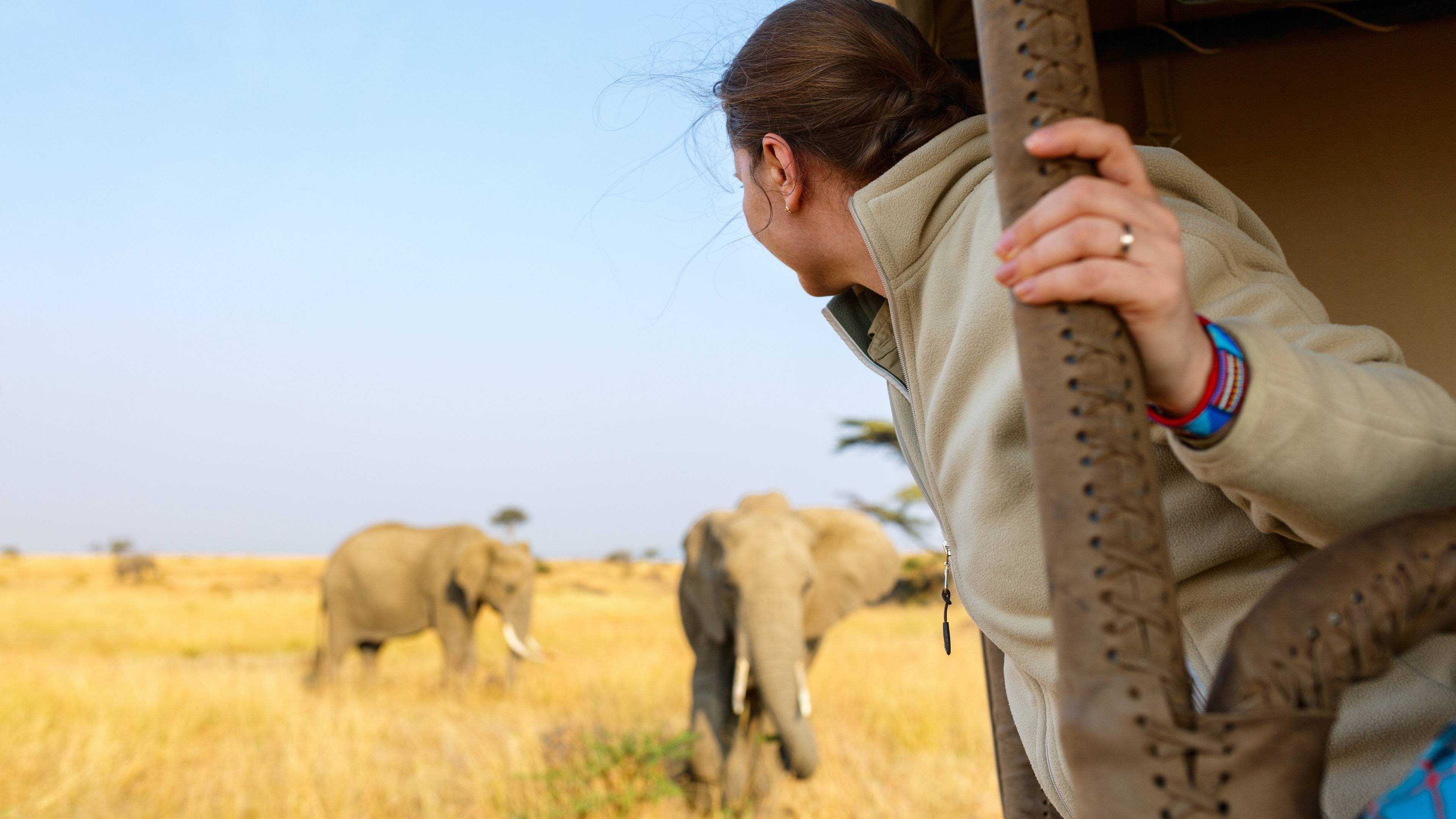 Slow safaris en famille au parc Kruger