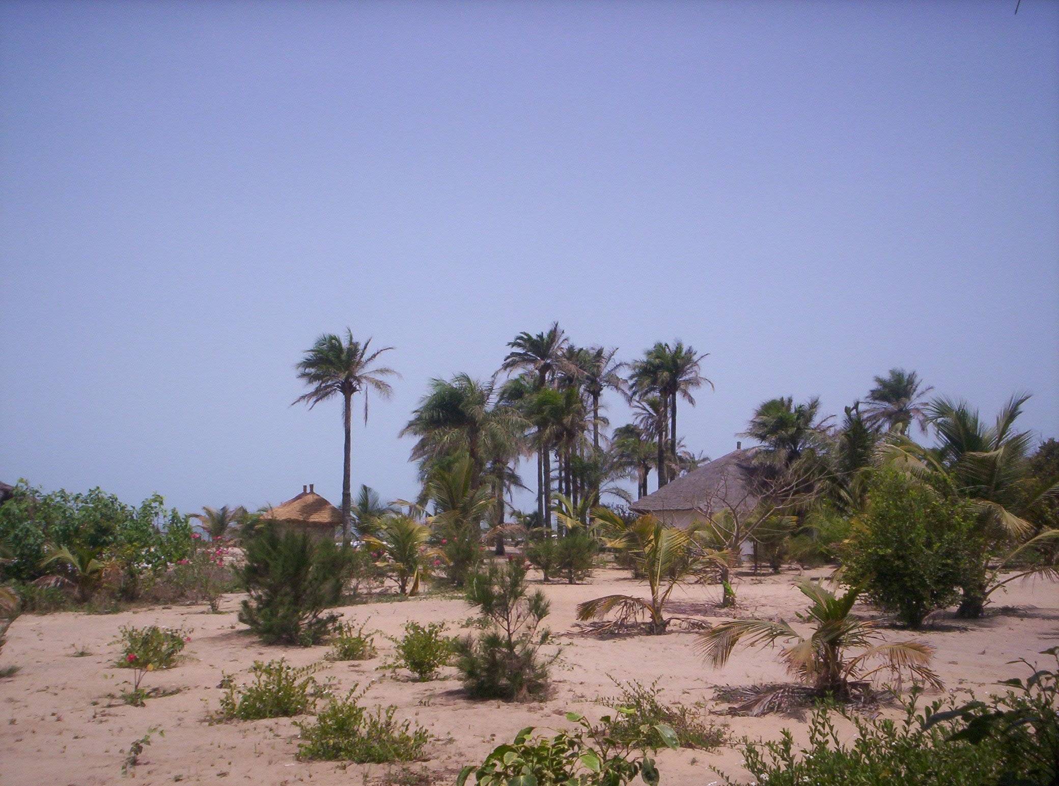 Inmersión cultural en el Sur: Etnias, Naturaleza y Playas de la Casamance