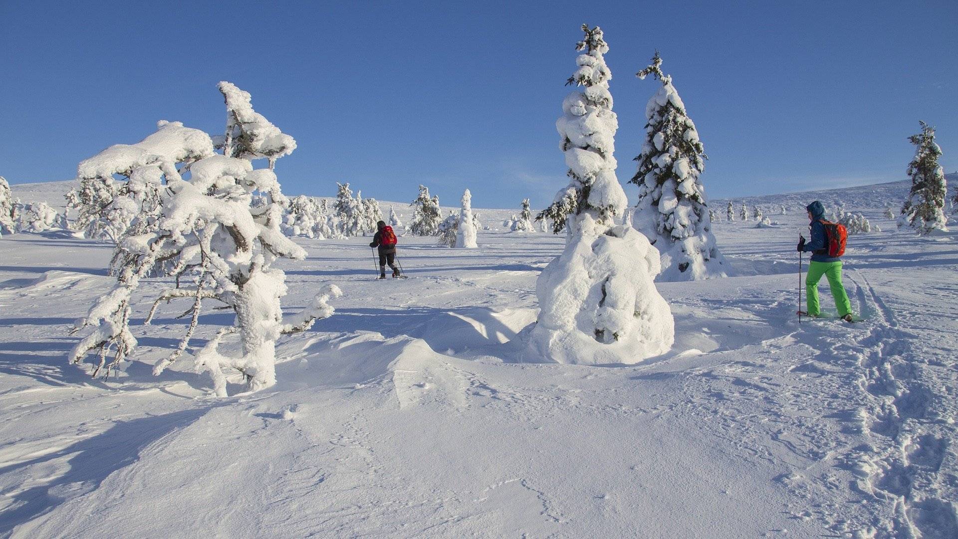 Explorando la Mágica Laponia en Invierno
