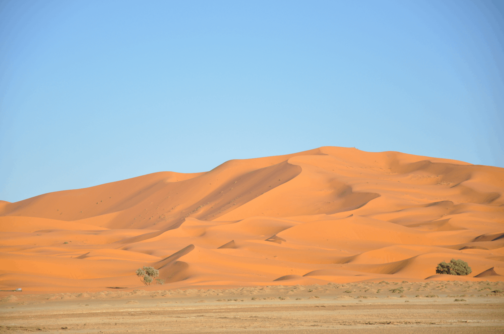 Oasis, Kasbahs y Desierto de Merzouga