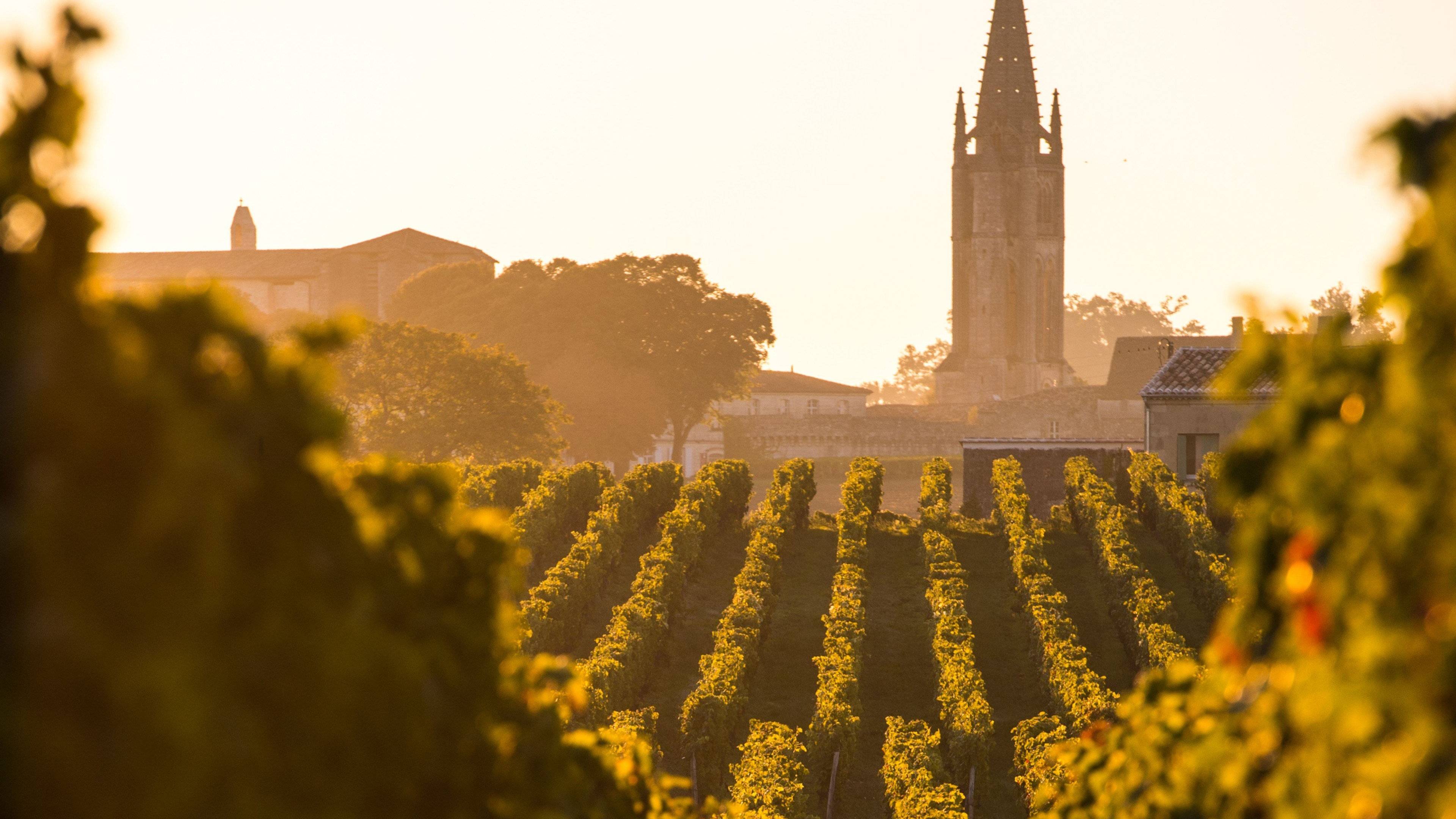 Bordeaux, ses vignobles et Arcachon
