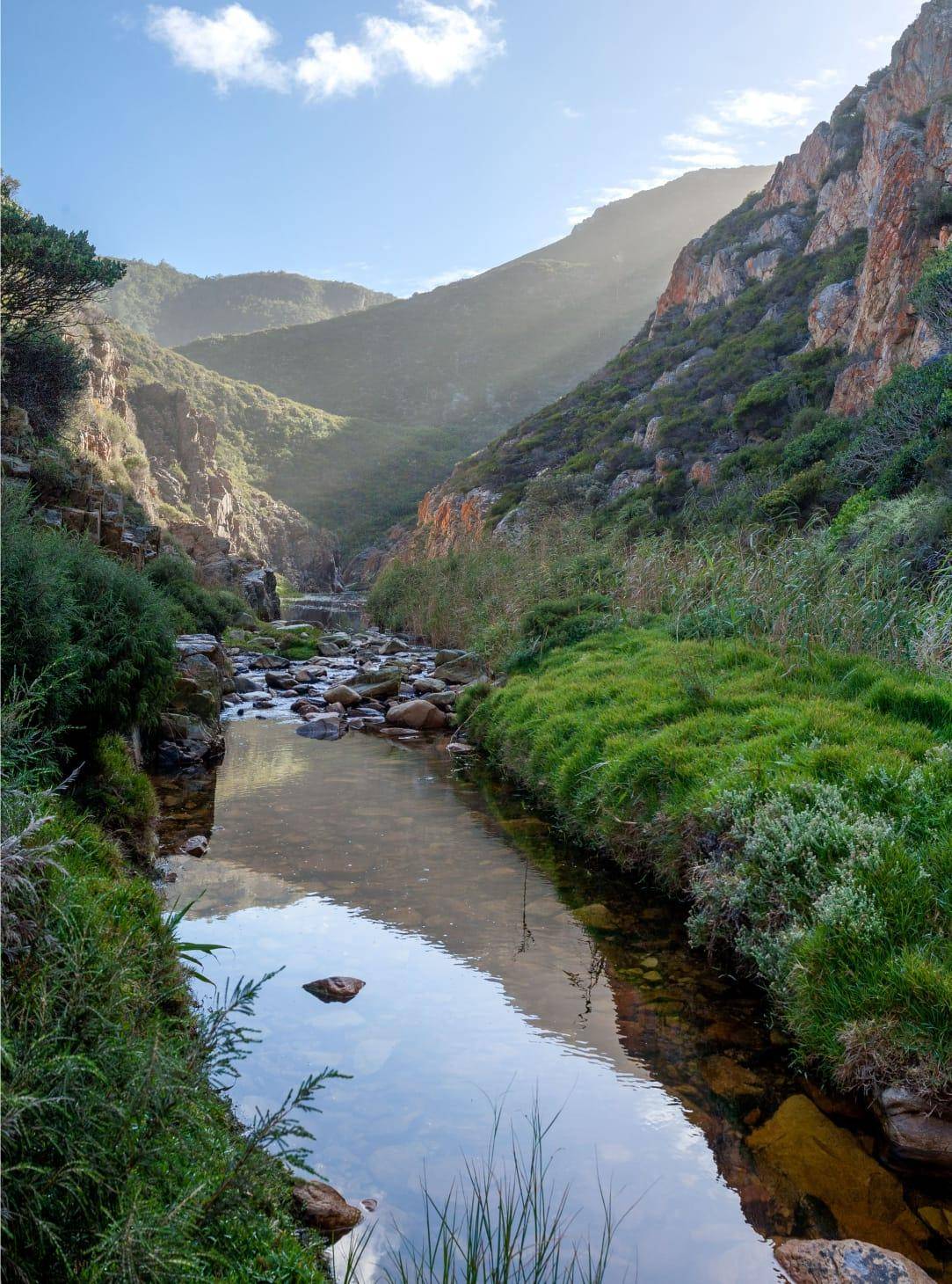 Ruta escénica desde Ciudad del Cabo: Safaris y naturaleza a tu ritmo