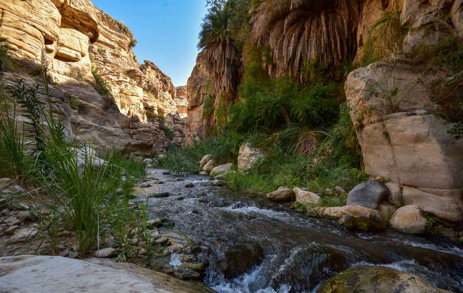 La freschezza dei più bei canyon giordani