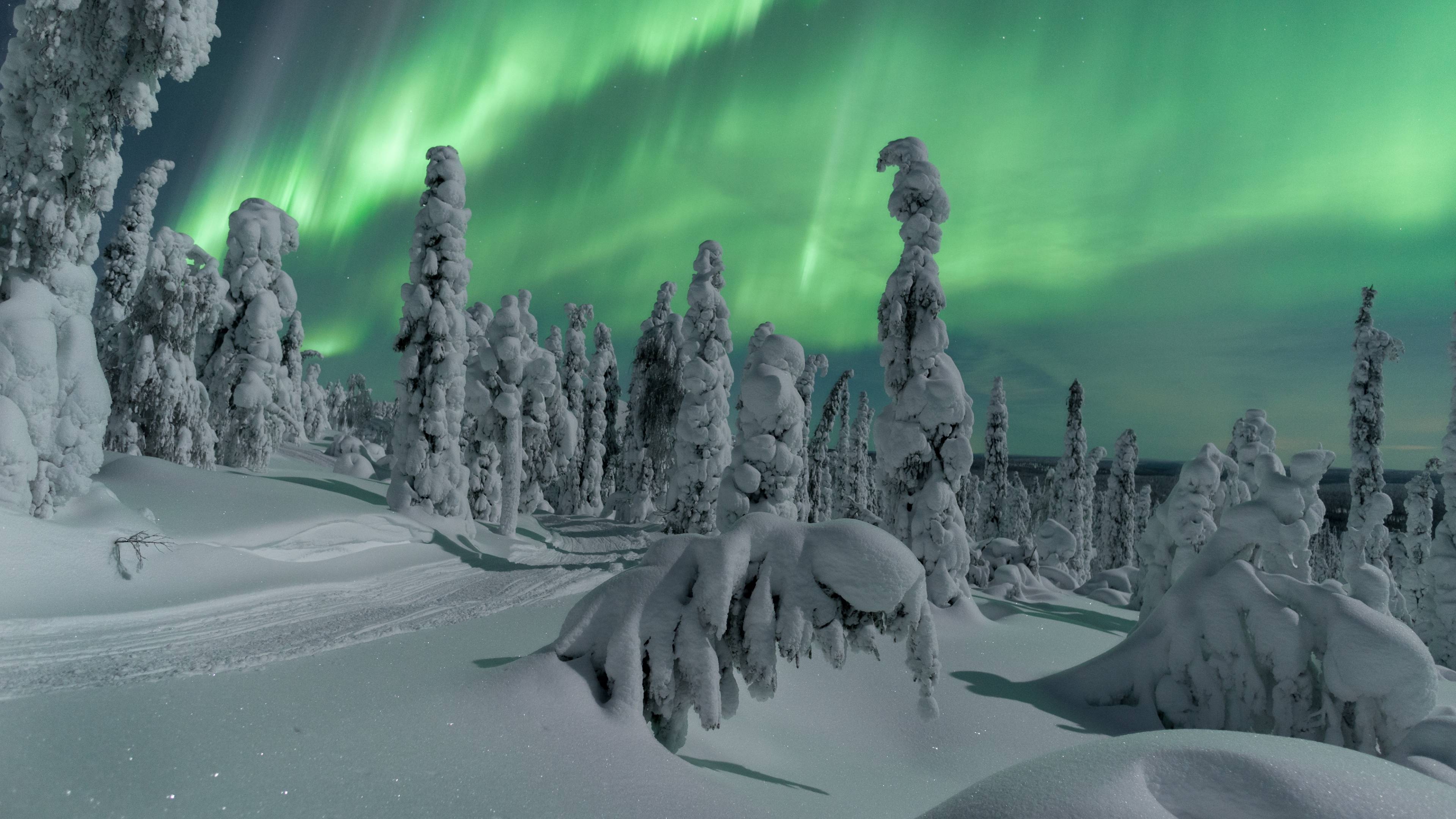 Explorando las Maravillas de la Aurora Boreal: Una Aventura Inolvidable en el Norte de Laponia